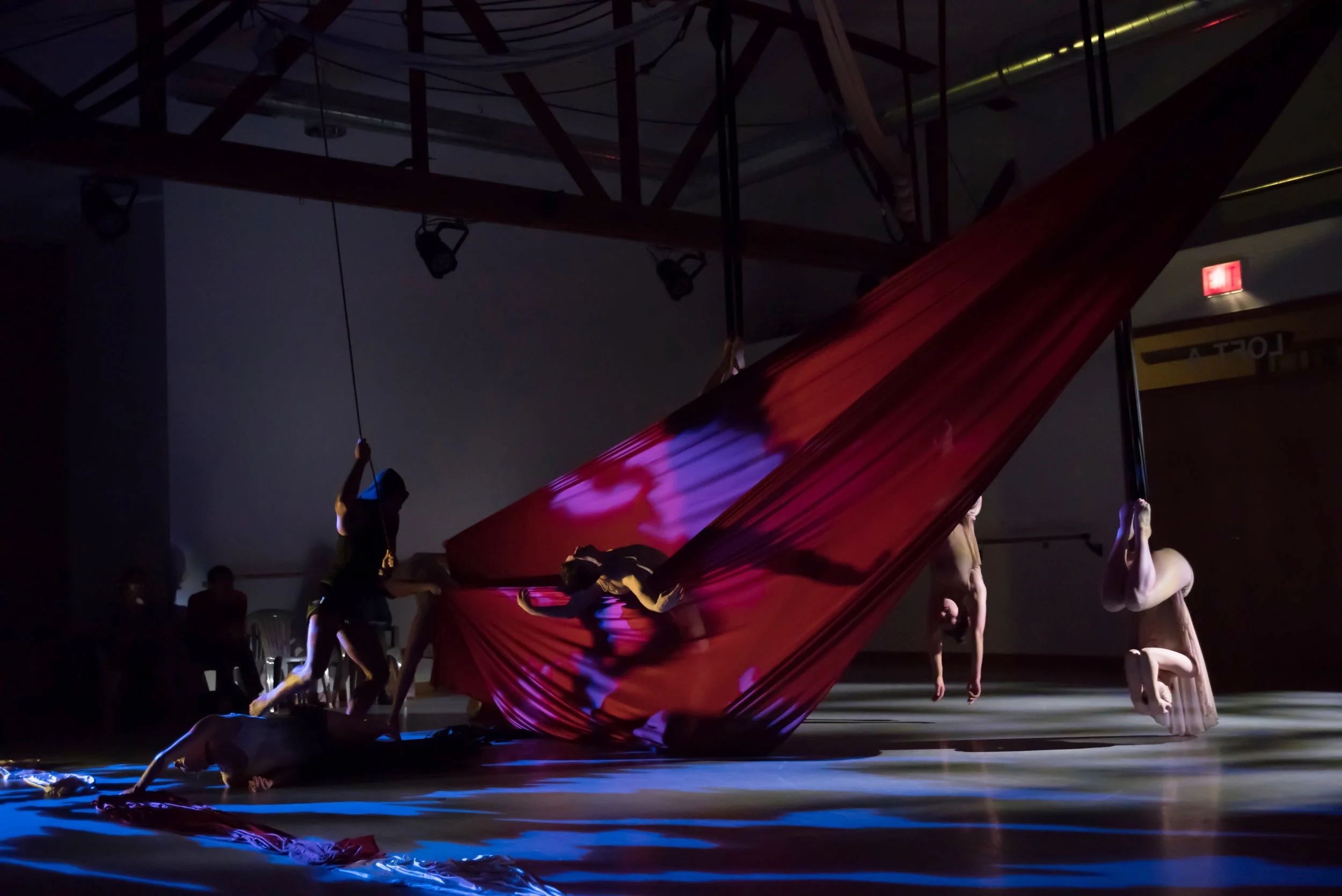 aerial dance chicago-6110.jpg