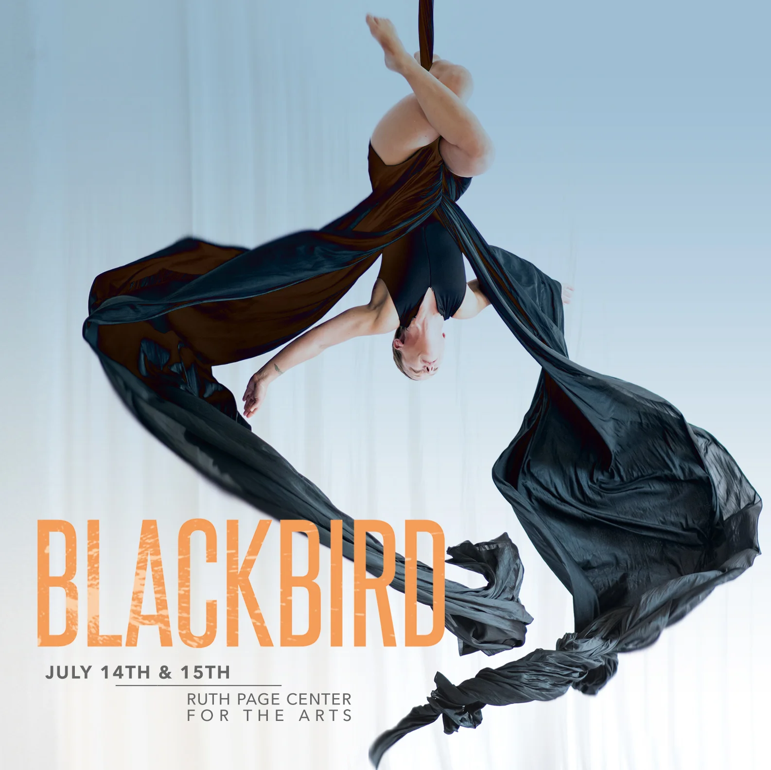 ADC Blackbird Social Media Square.jpg