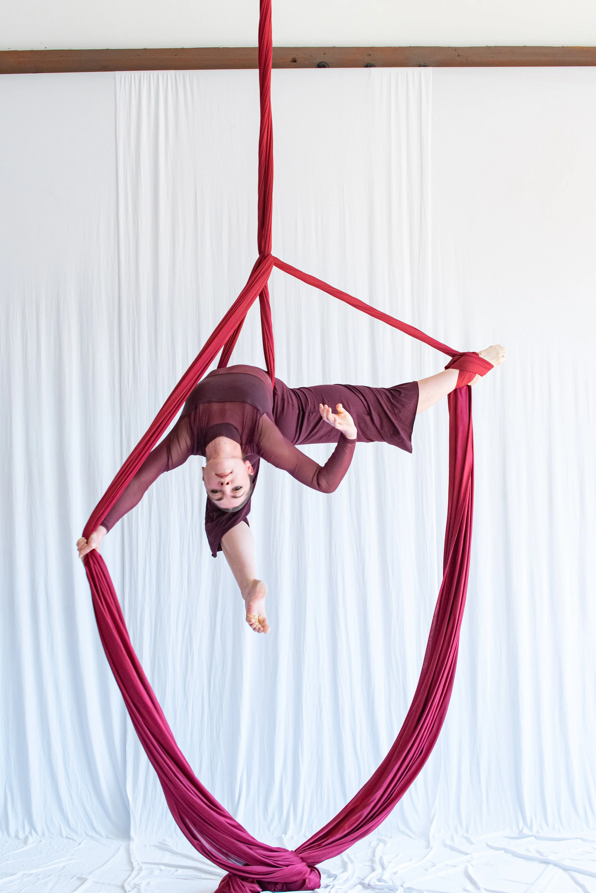 Meet the Dancers — Aerial Dance Chicago