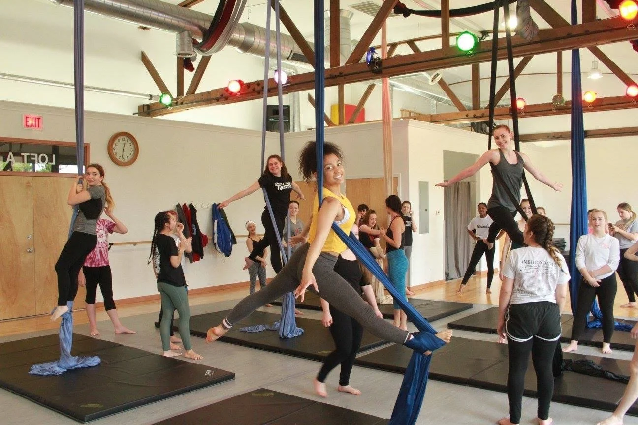 Free Flight Aerial Silks Workshop 
