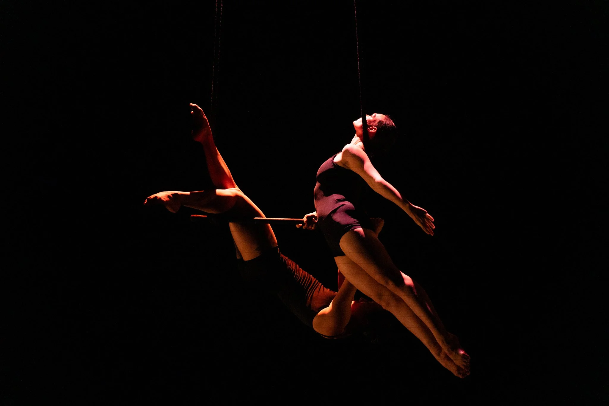 ADC-Stardust2025-1106Michelle Reid.jpg