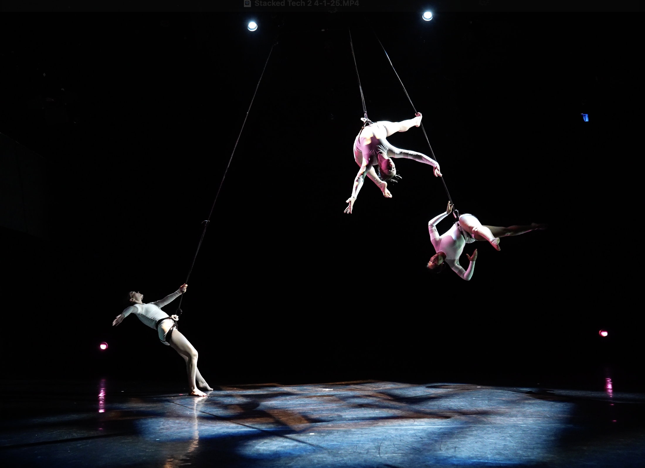 IMG 2025-04-02 at 9.22.49 AM.png