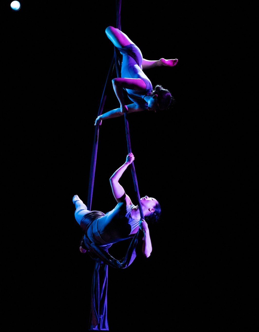Harvest Chicago Contemporary Dance Festival