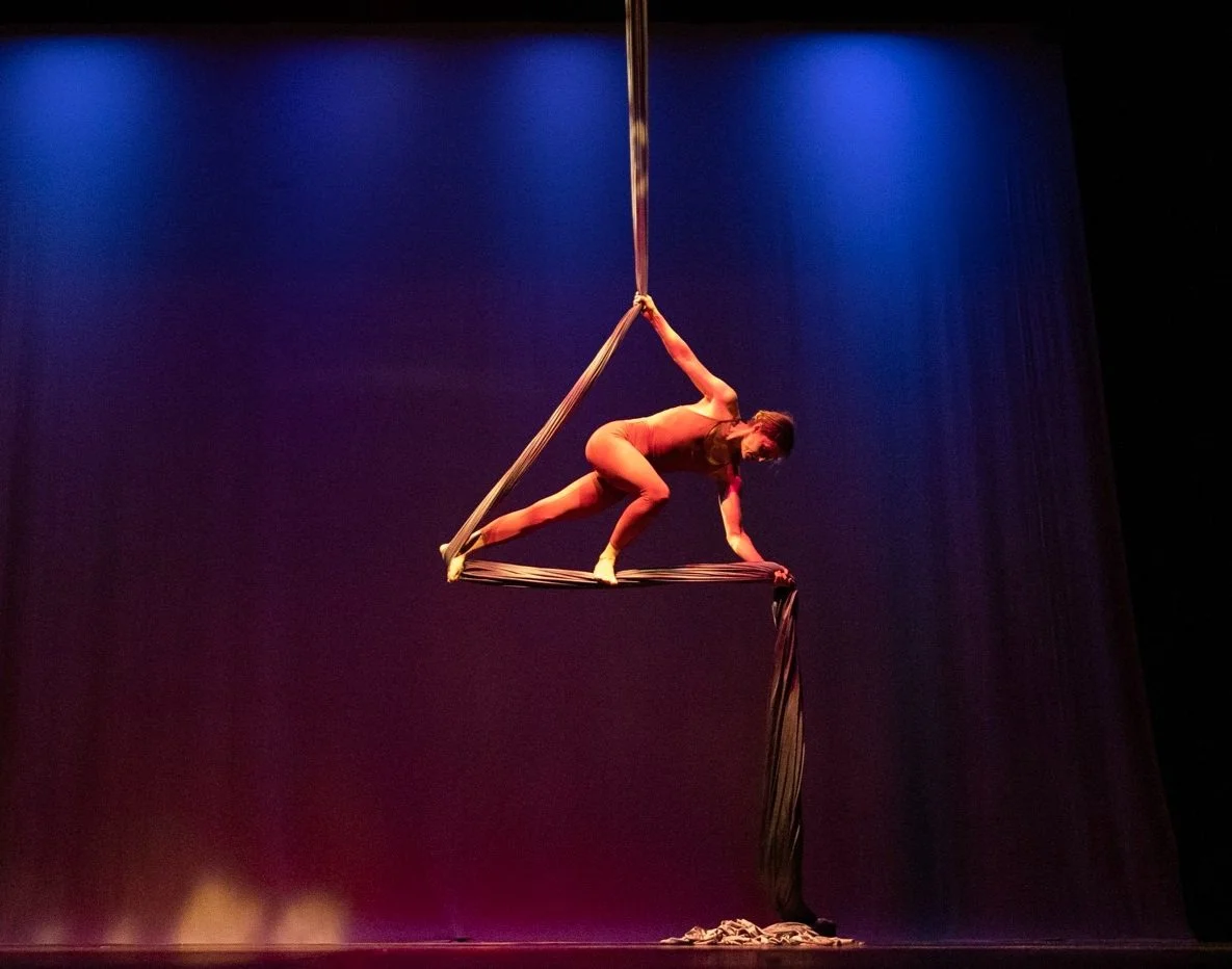 Aerial+Dance+Chicago+12+Steve+Davis+.jpg