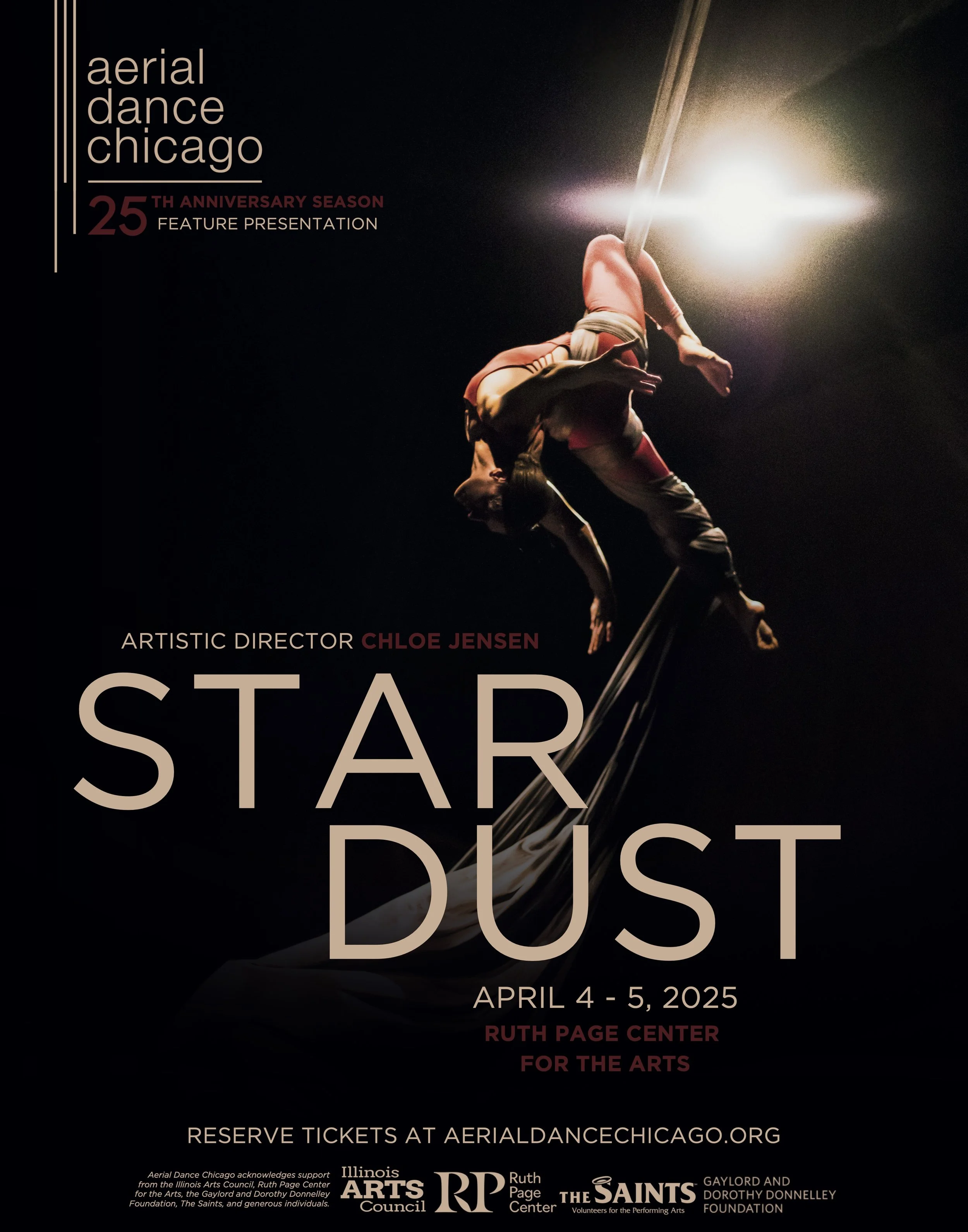 Stardust Poster.JPEG