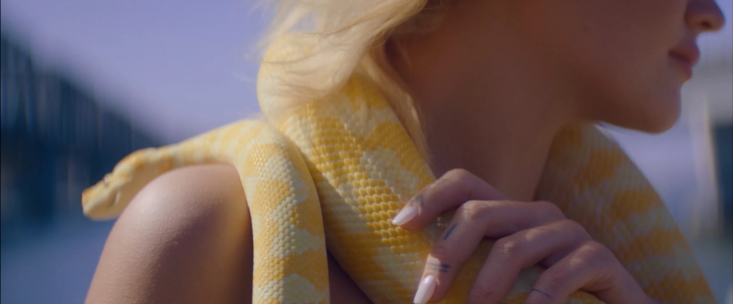 Screen+Shot+2019-07-23+at+4.21.25+pm.jpg