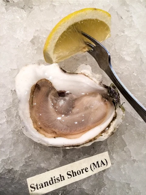 ESOH Standish Shore 640x480.jpg