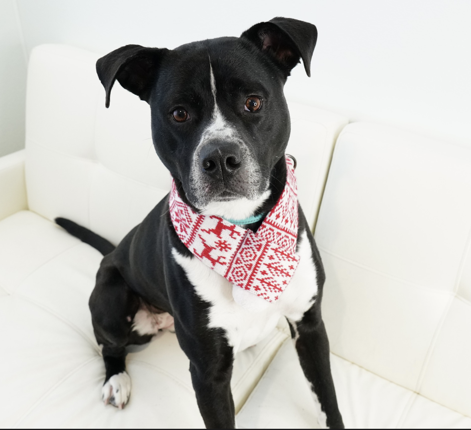 Screen Shot 2025-12-13 at 1.57.49 PM.png