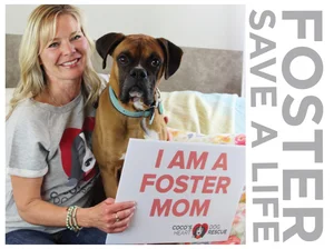 Foster — Coco's Heart Dog Rescue