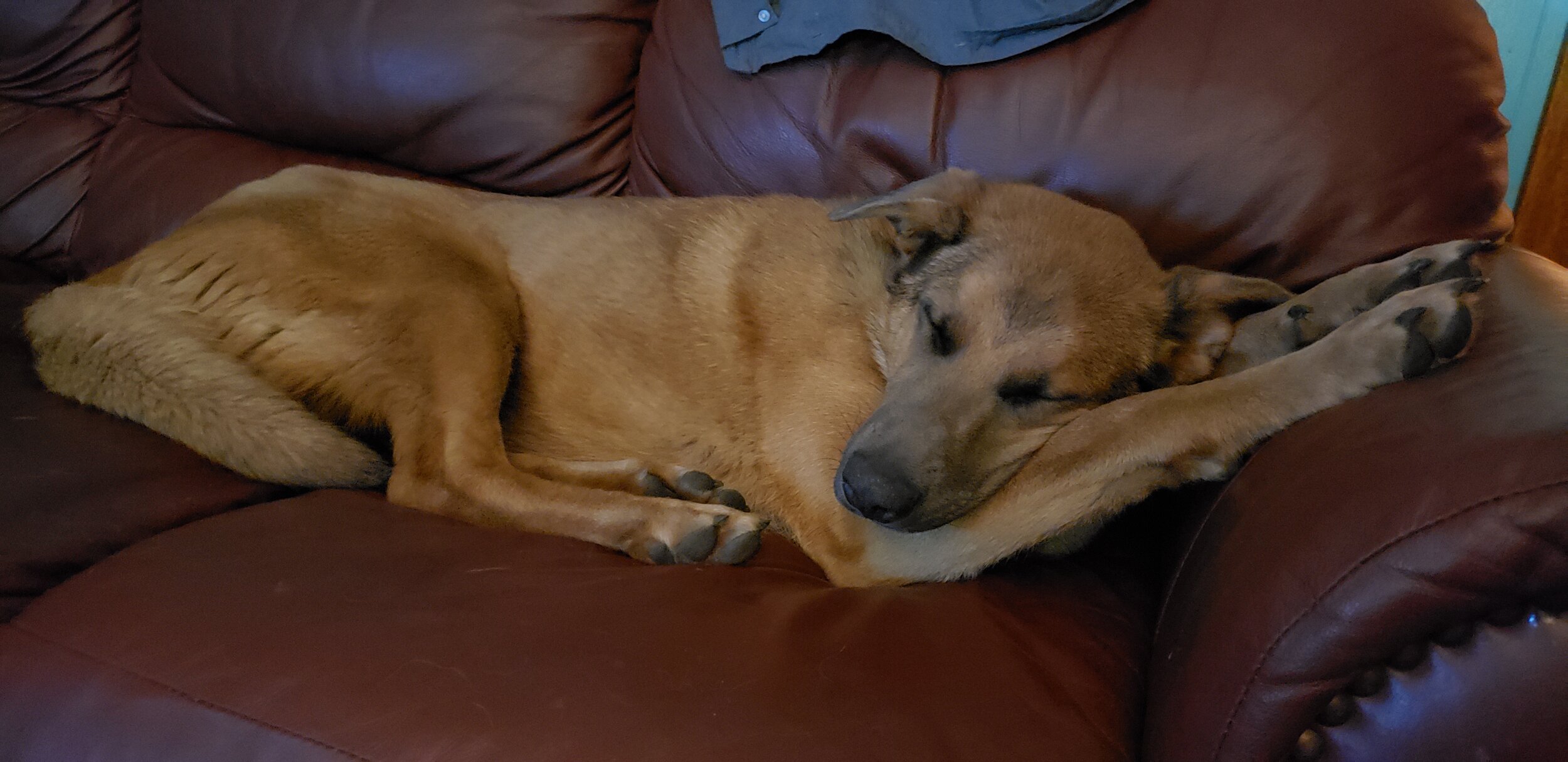 20210424_220131.jpg