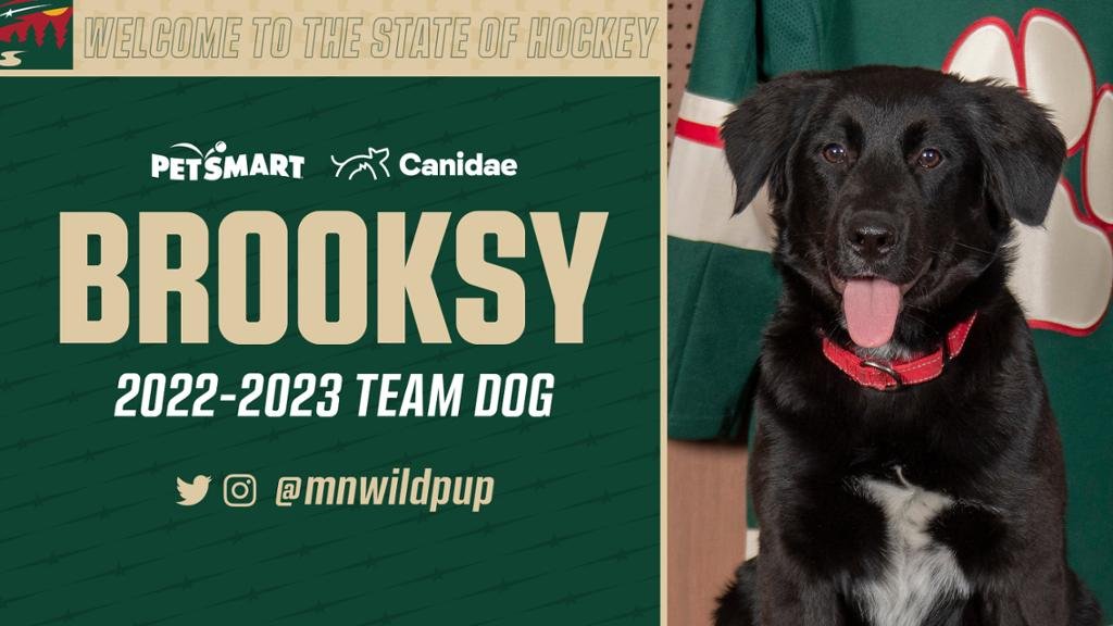 Hockey Team's New Service Dog In Training Will Melt Your Heart!