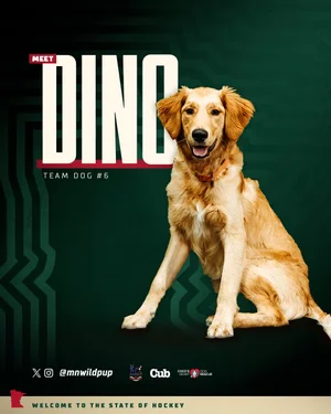 Coco's Heart Dog Rescue