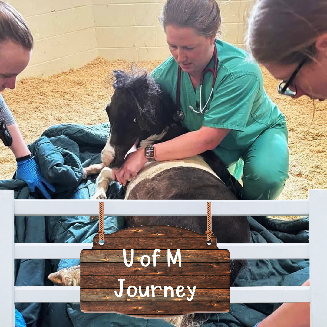 Untitled - 2024-07-30T113432.065.png