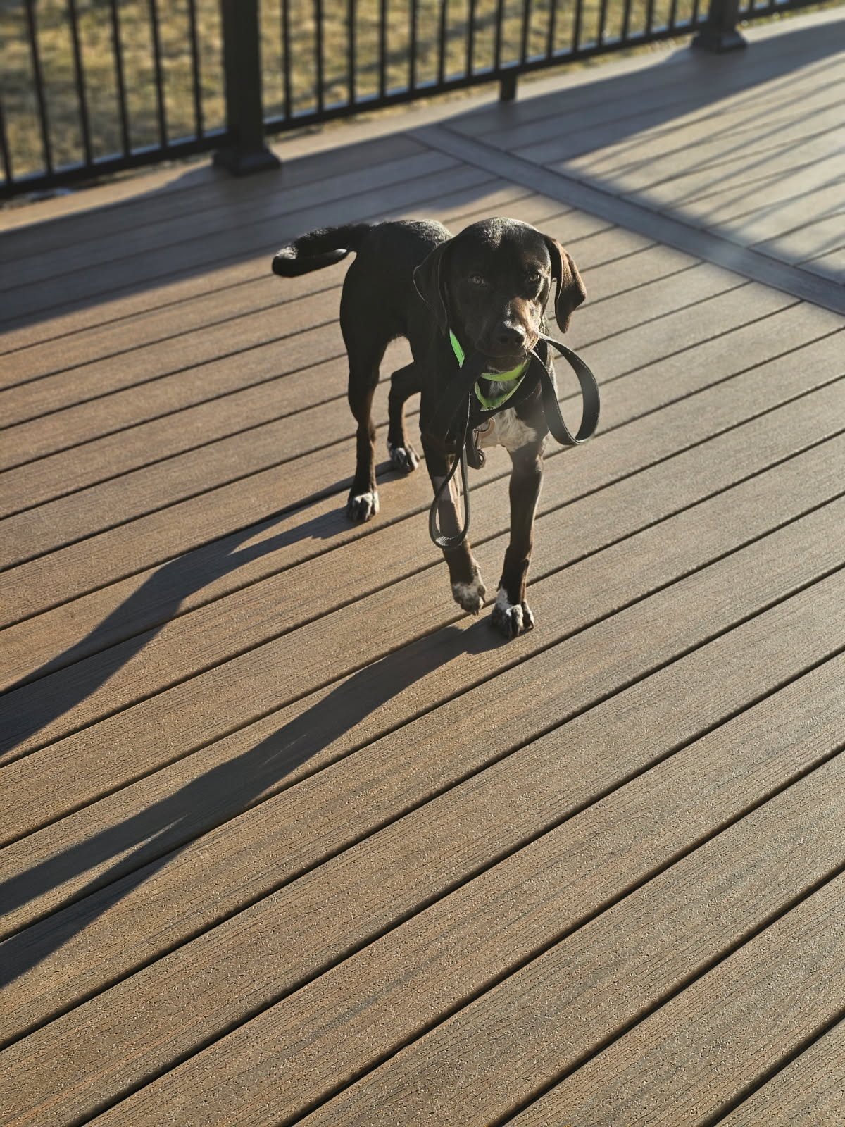 image000000.jpg