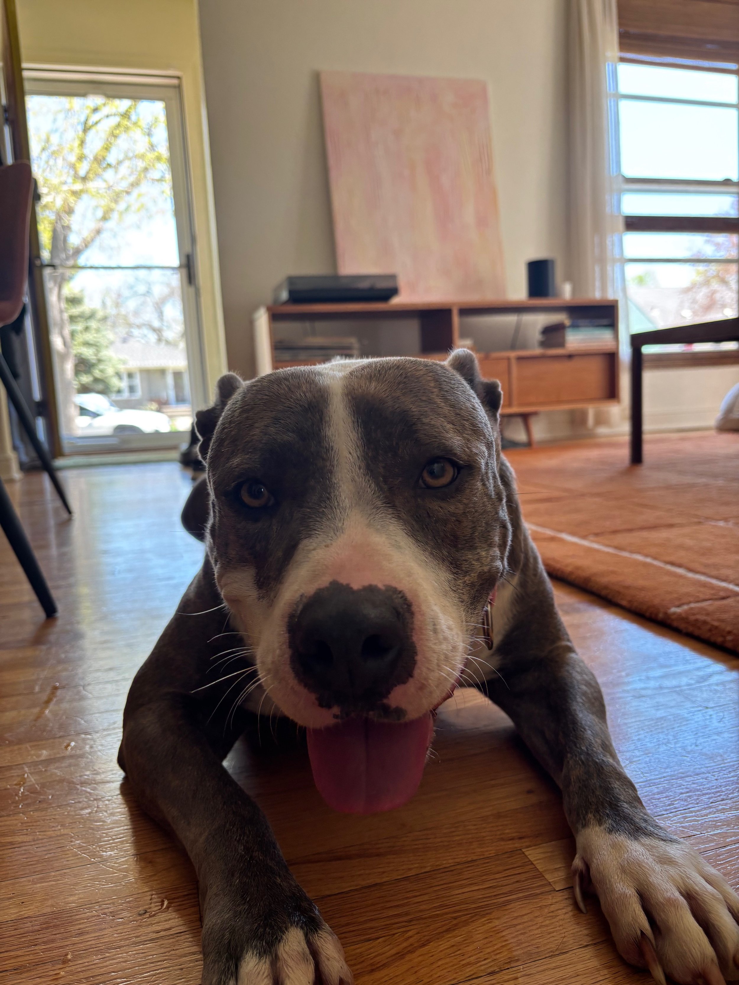 image1.jpeg