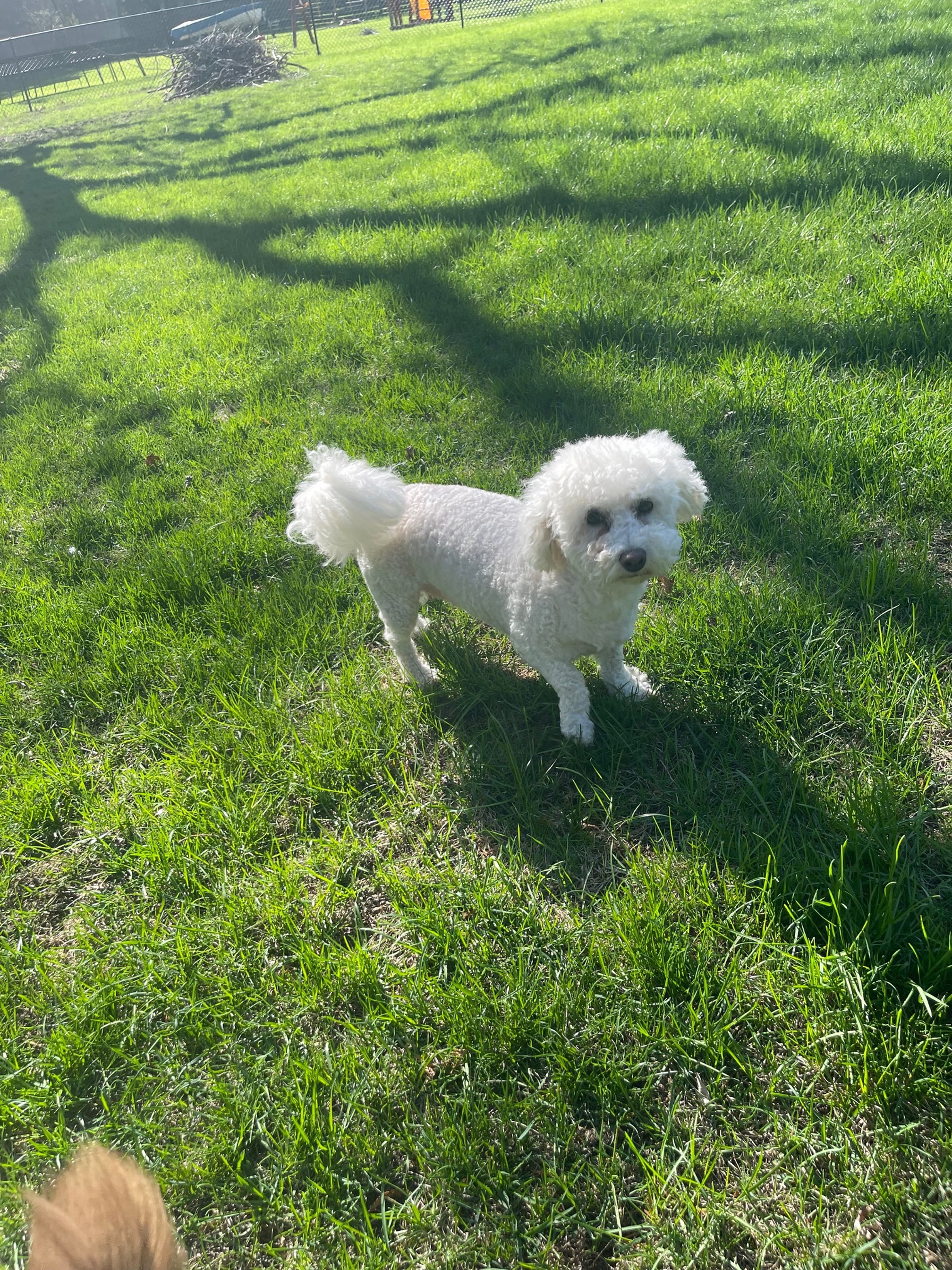 image0.jpeg