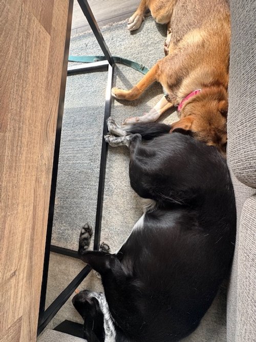 image1.jpeg