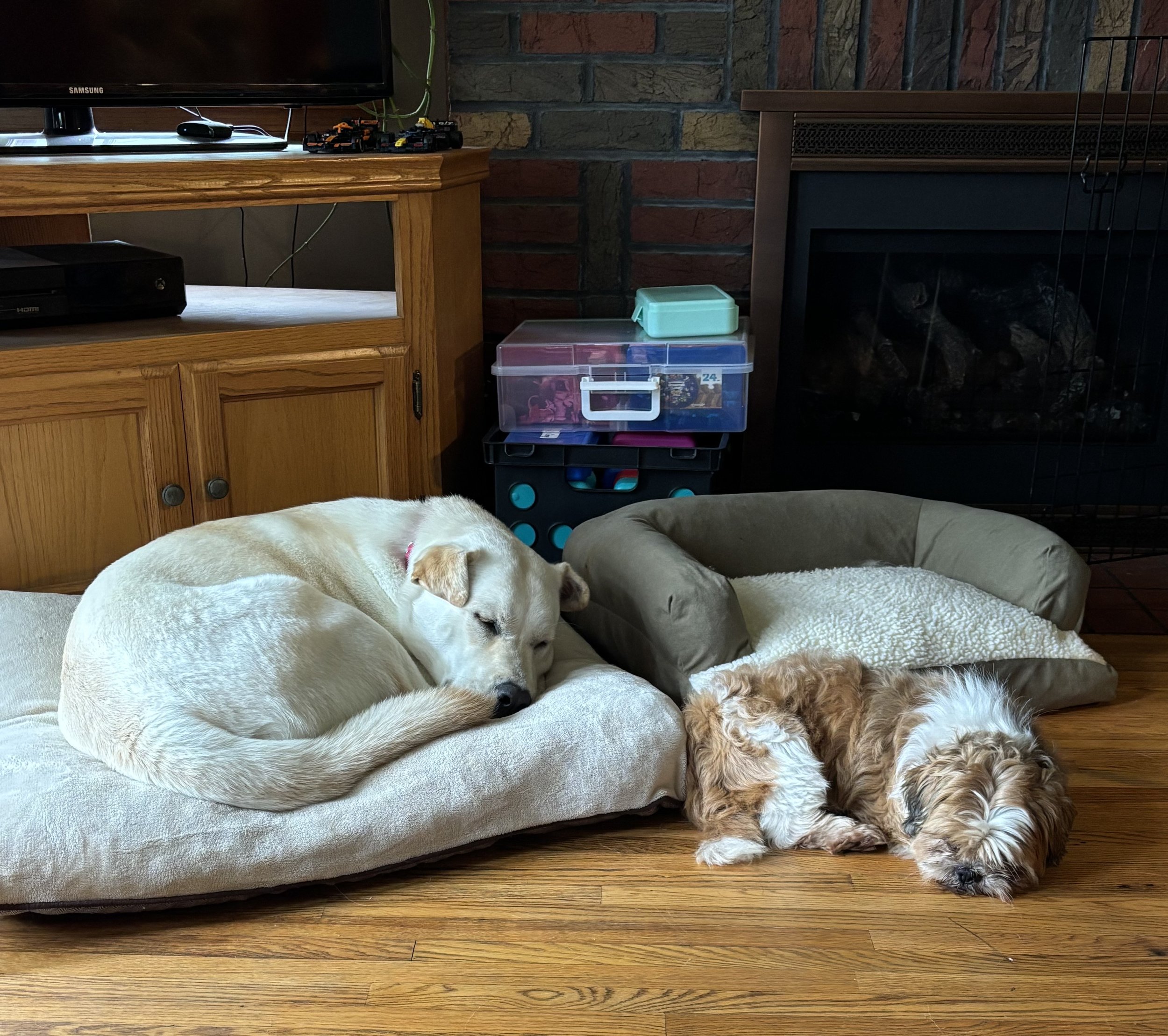 IMG_0402.jpeg