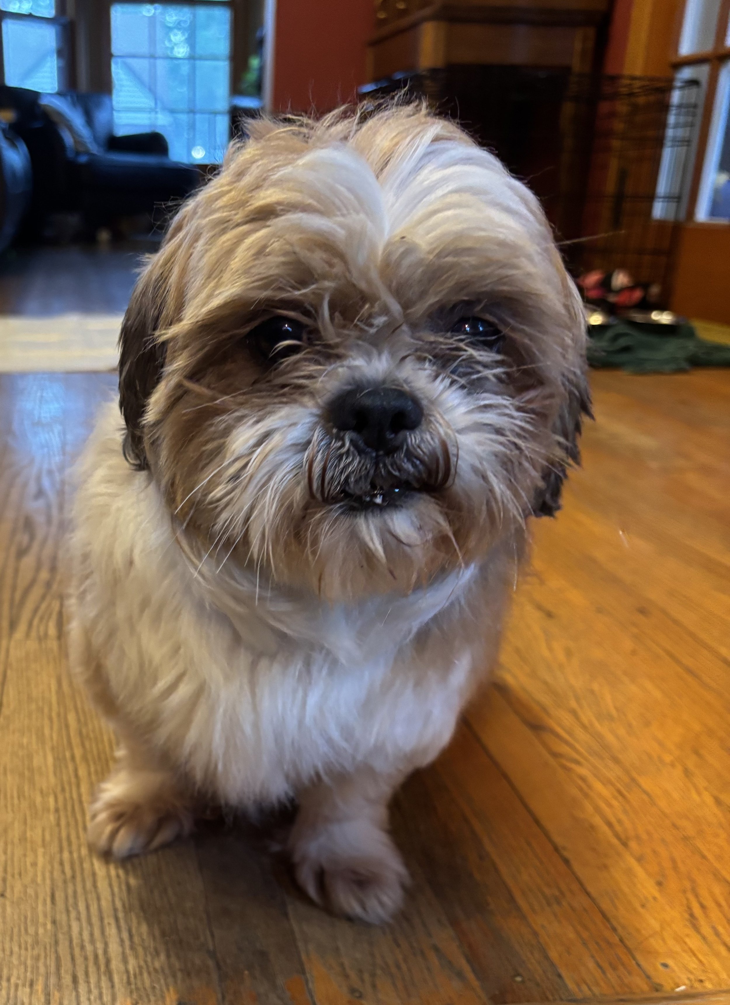 IMG_0417.jpeg