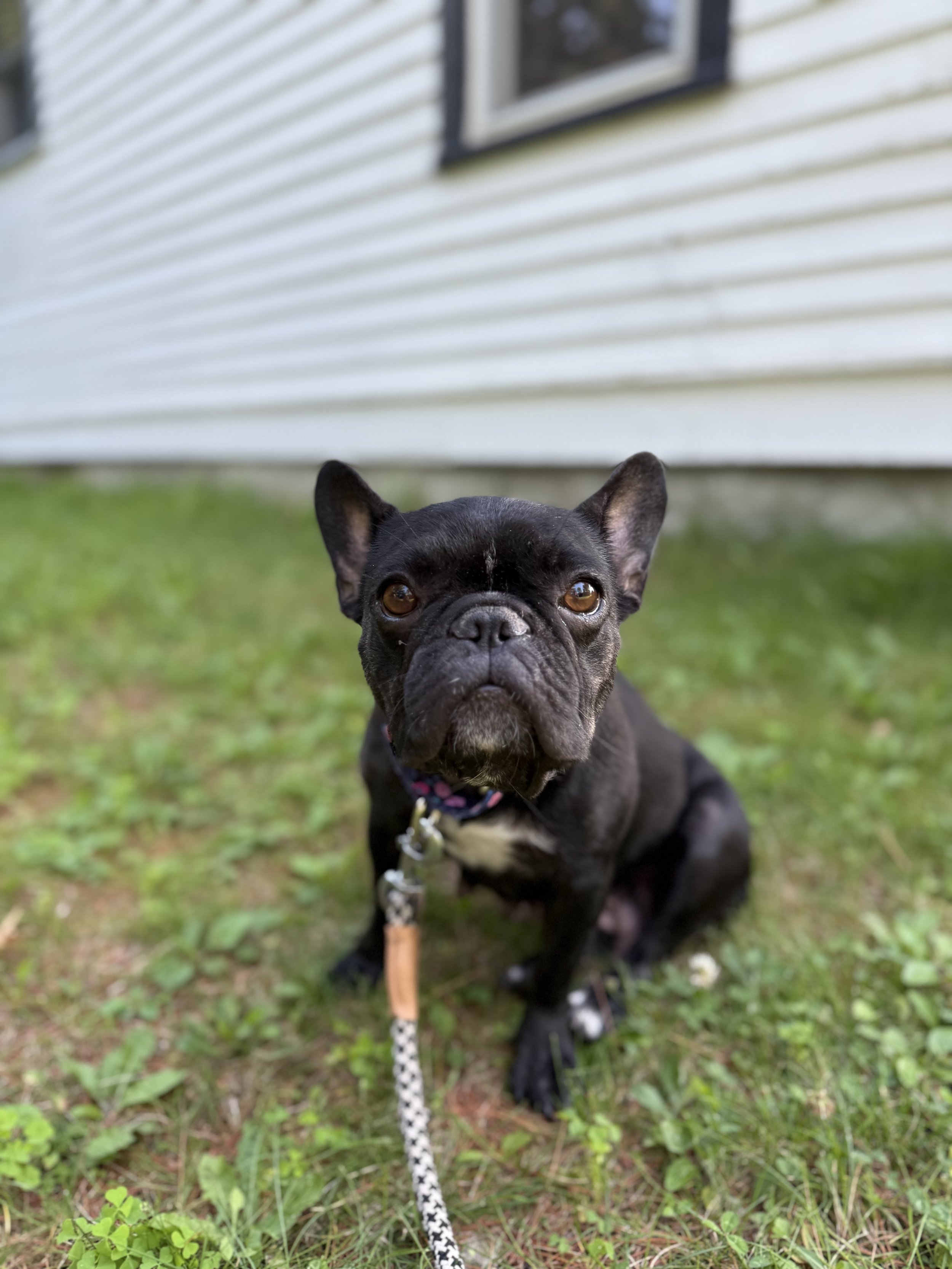 IMG_0342.jpeg