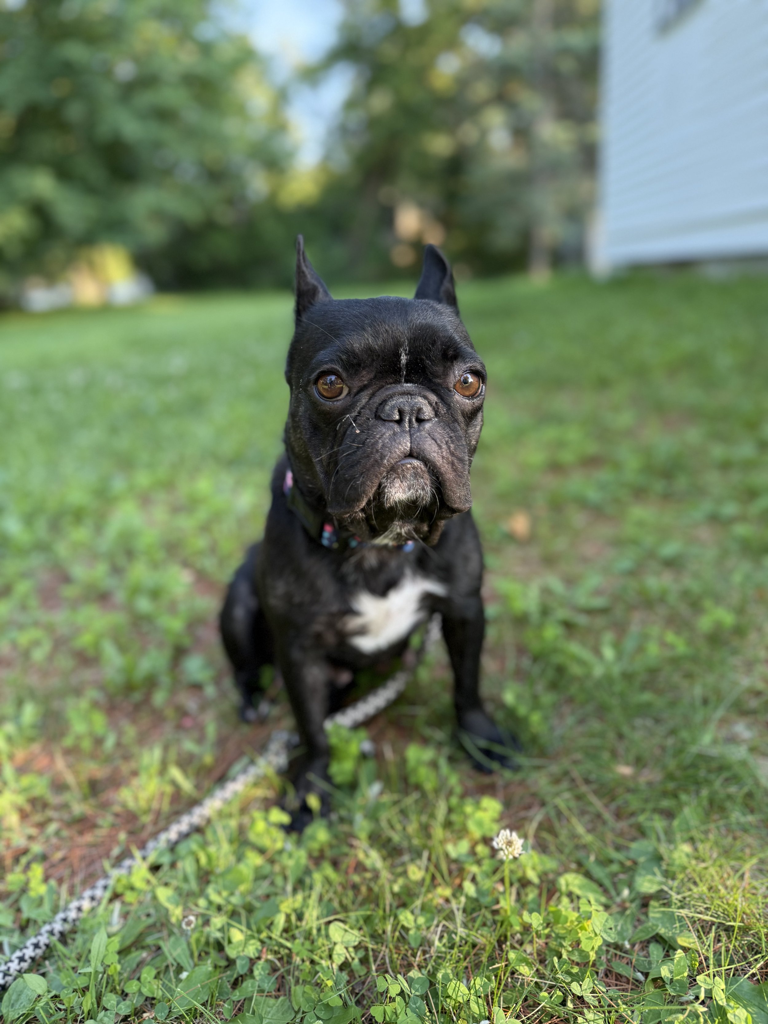 IMG_0348.jpeg