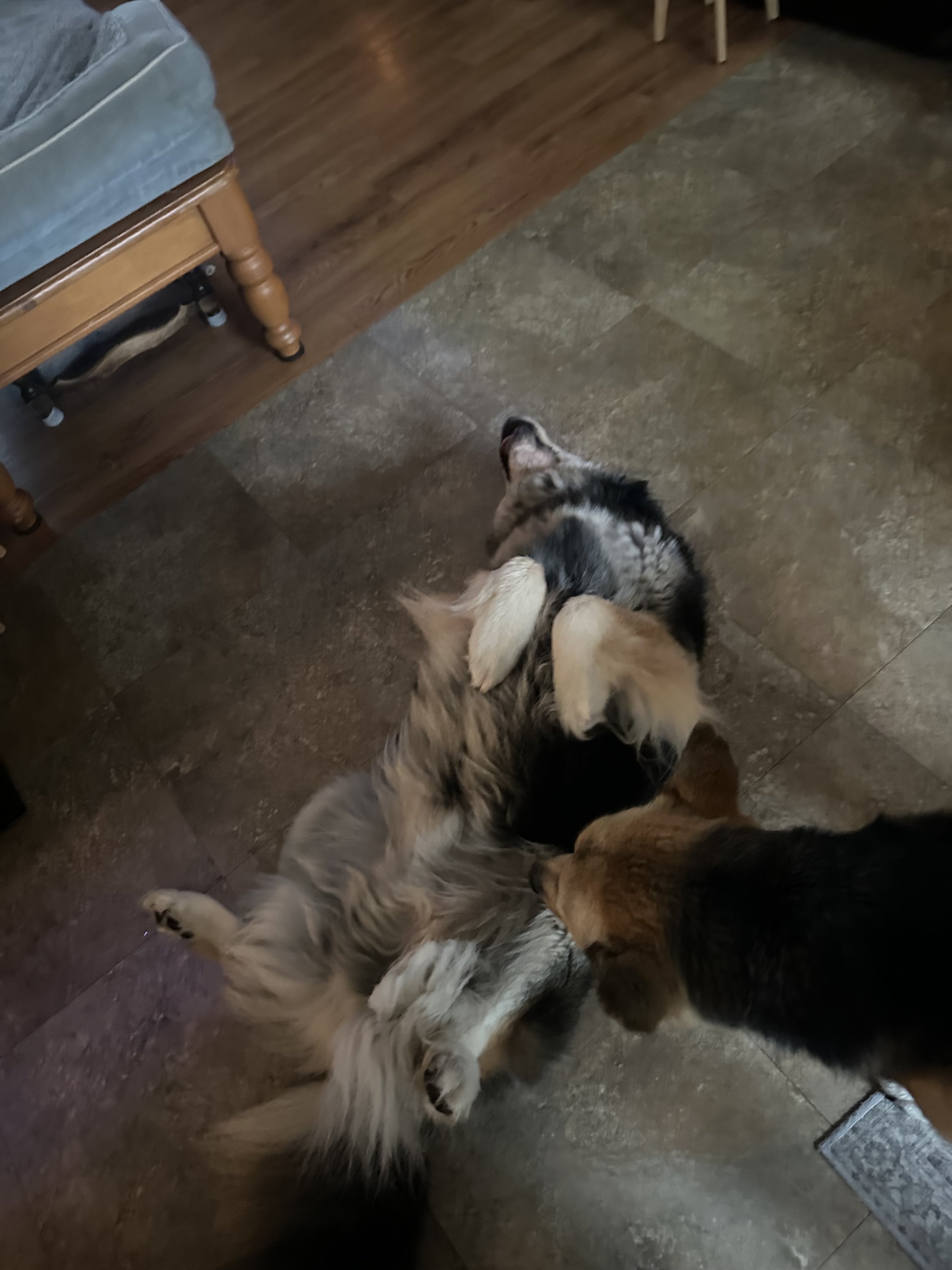 image4.jpeg