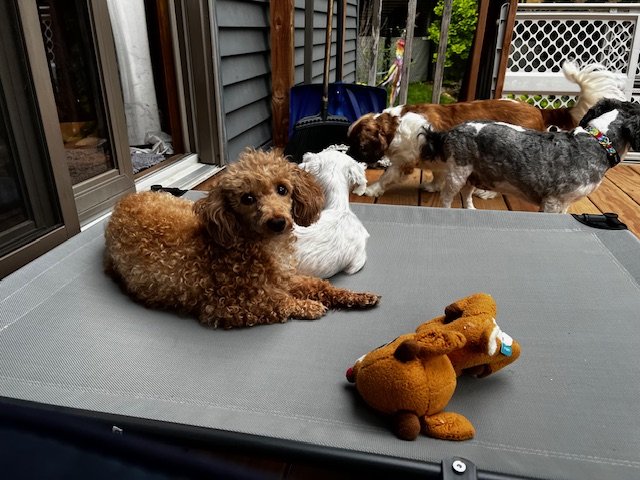 image5.jpeg