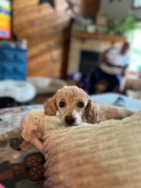 image14.jpeg