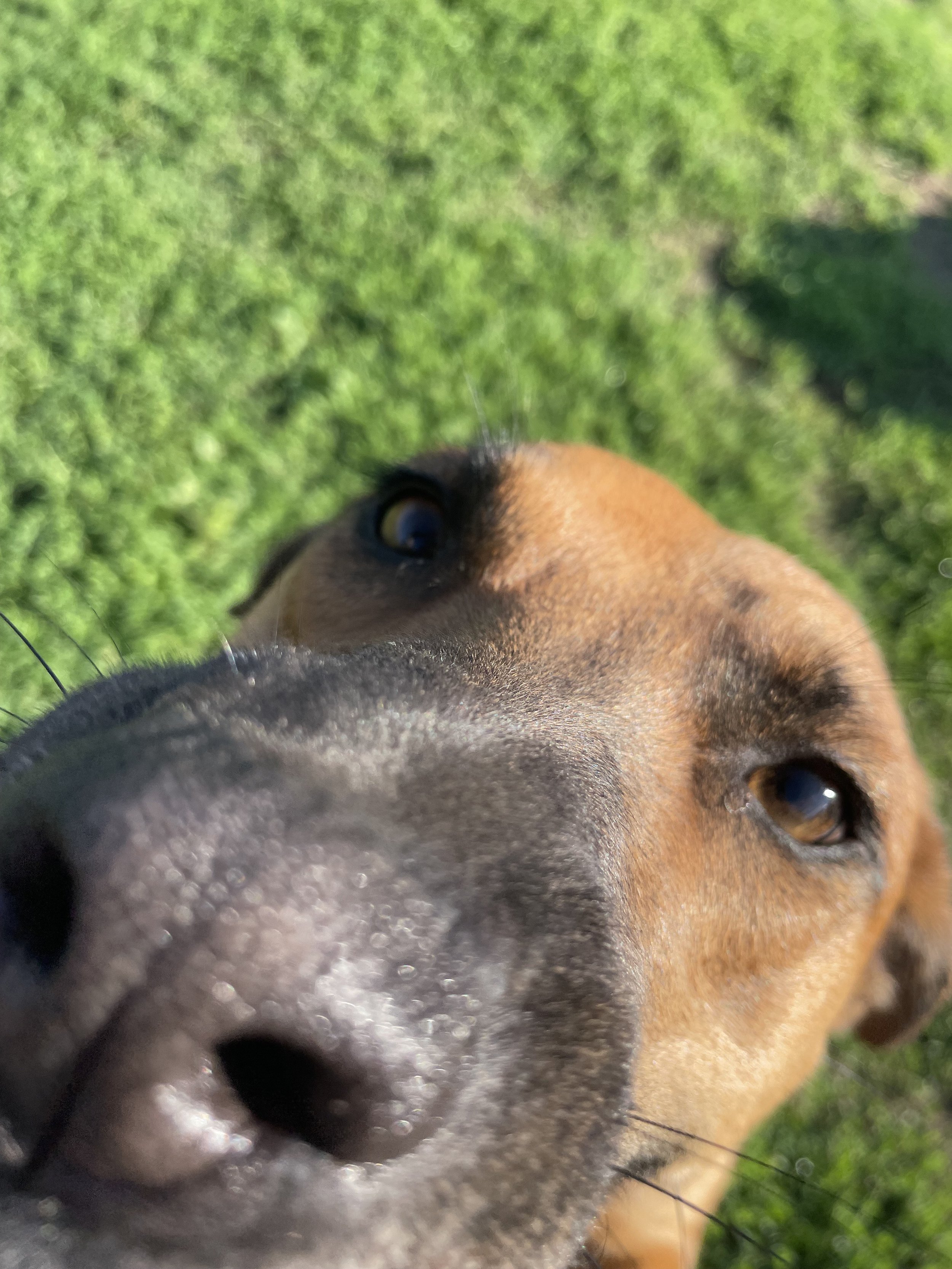 IMG_3230.jpeg