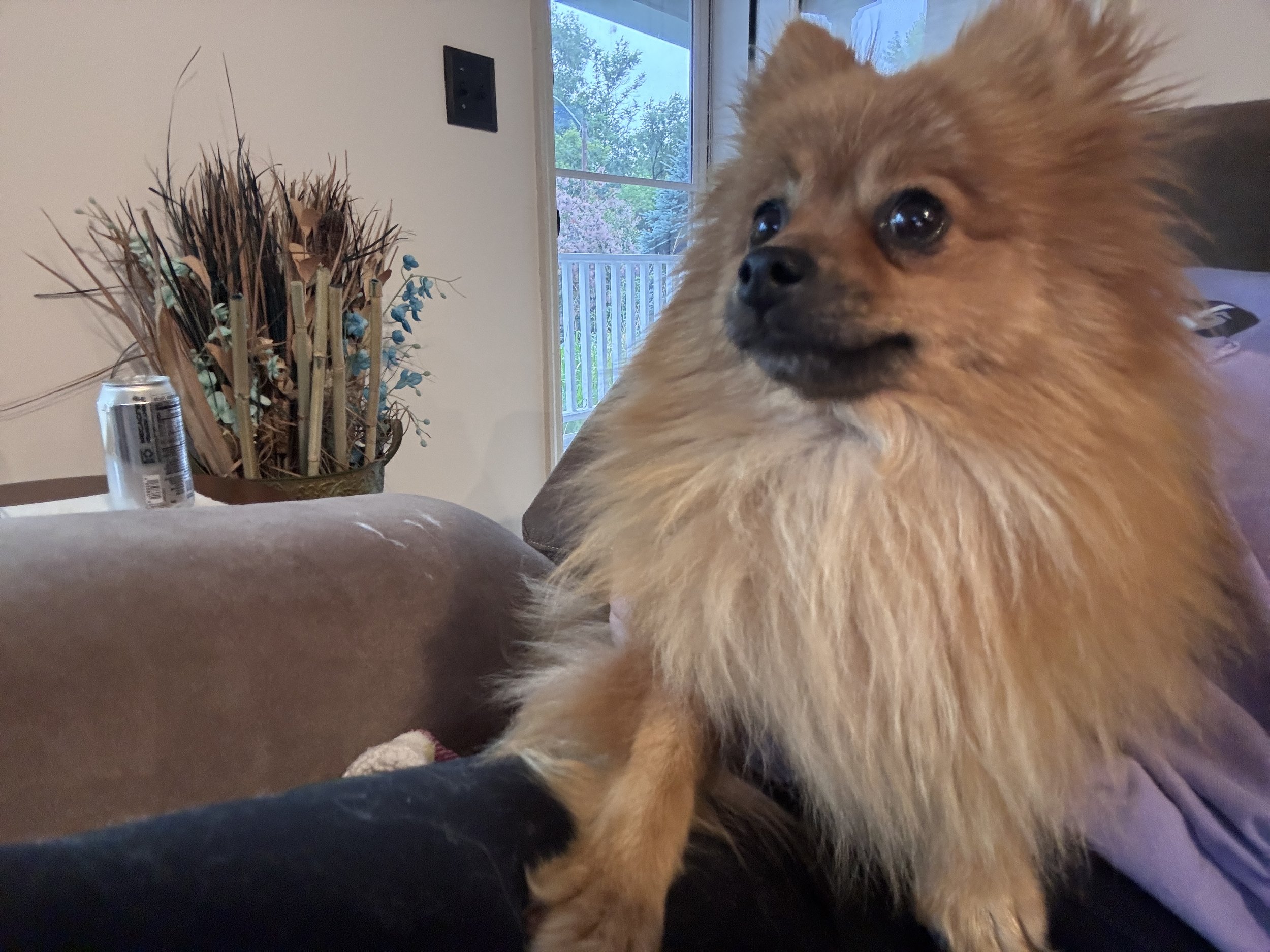 image13.jpeg