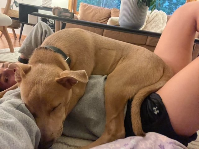 image1.jpeg