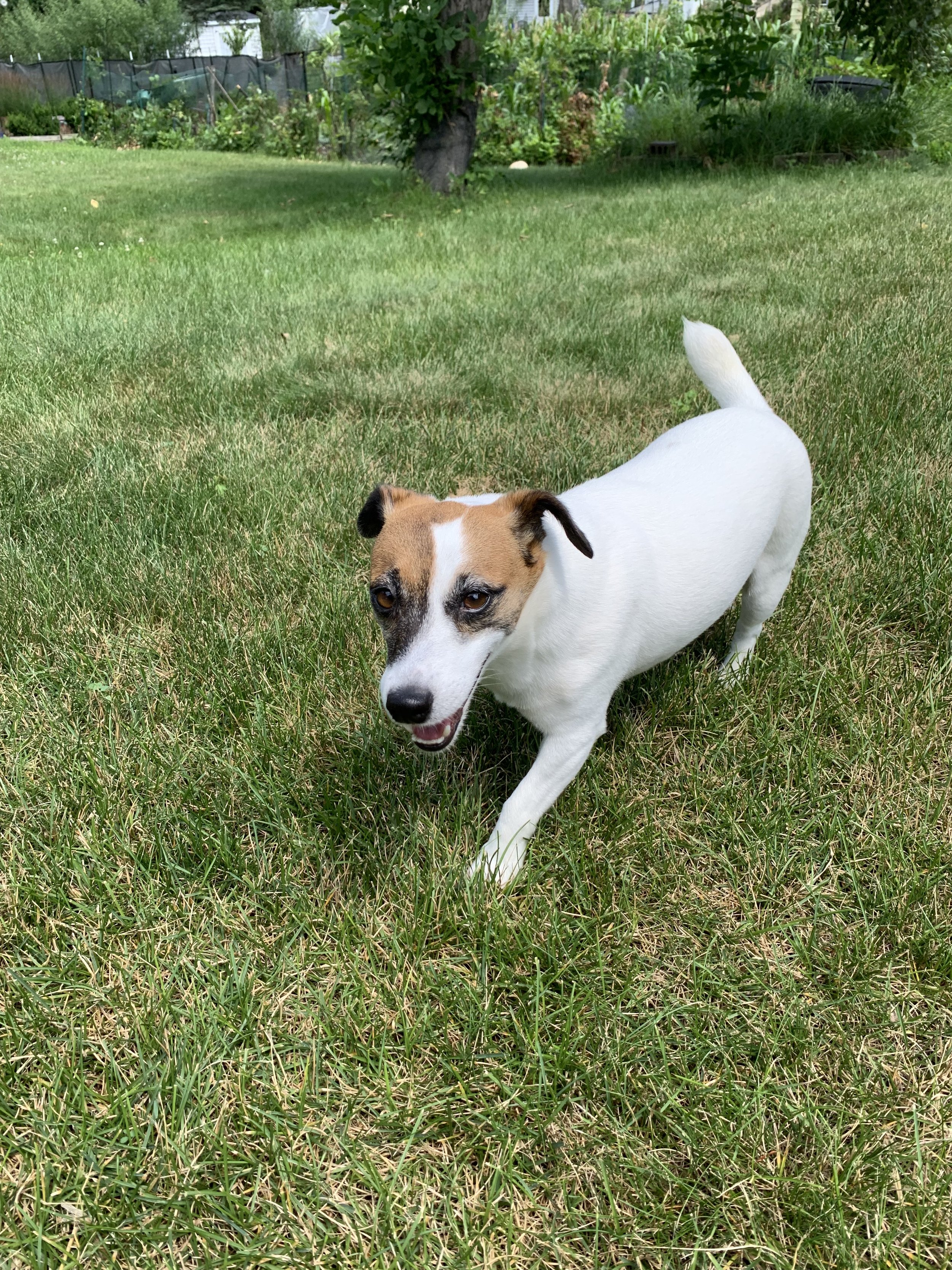 image11.jpeg
