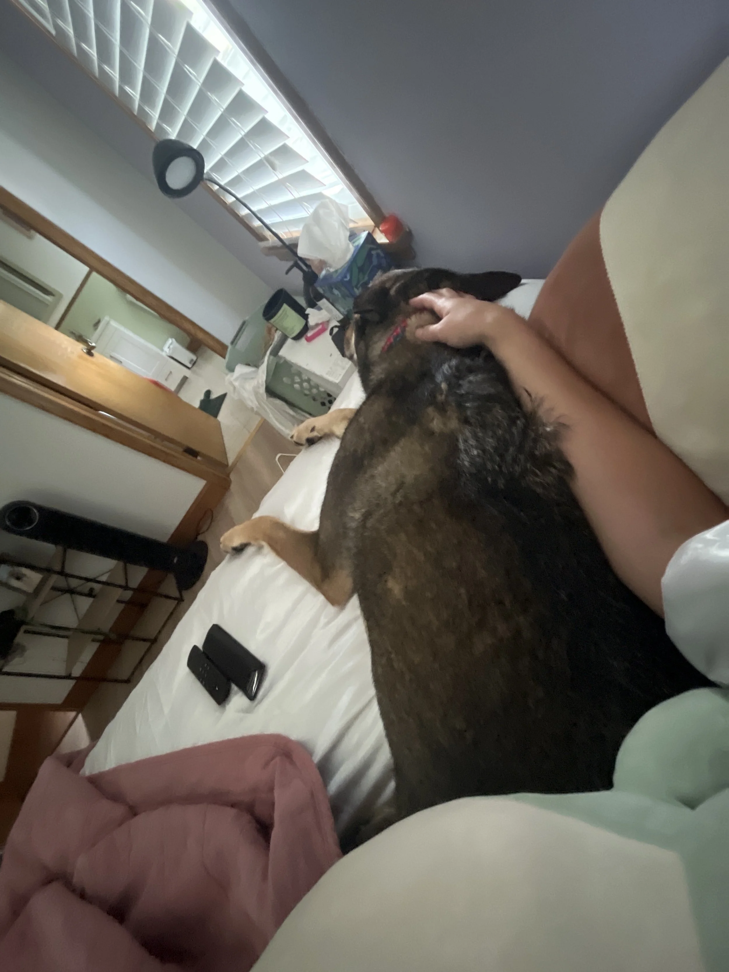 Image_250730_115307.jpeg