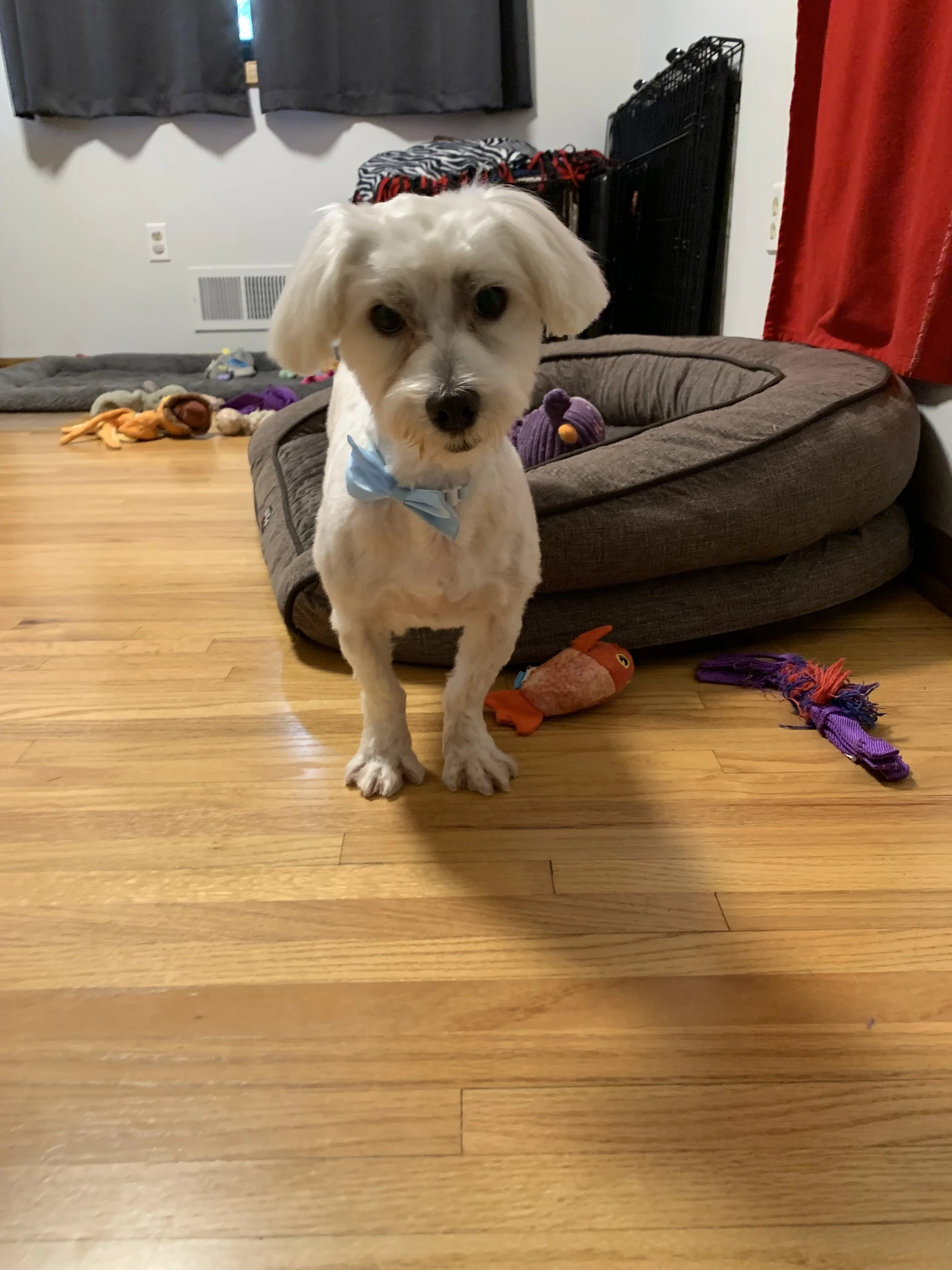 image5.jpeg