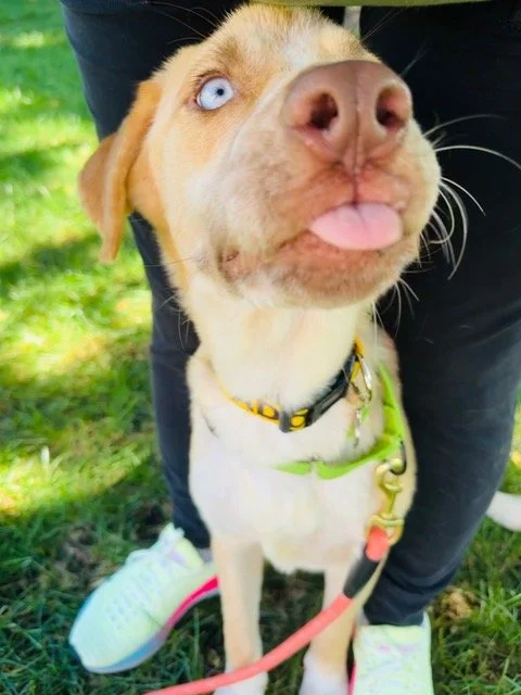 George_Mlem.jpeg