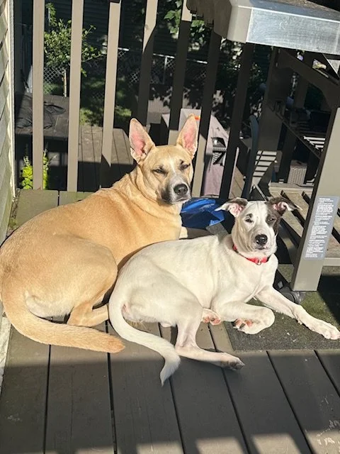 image1.jpeg