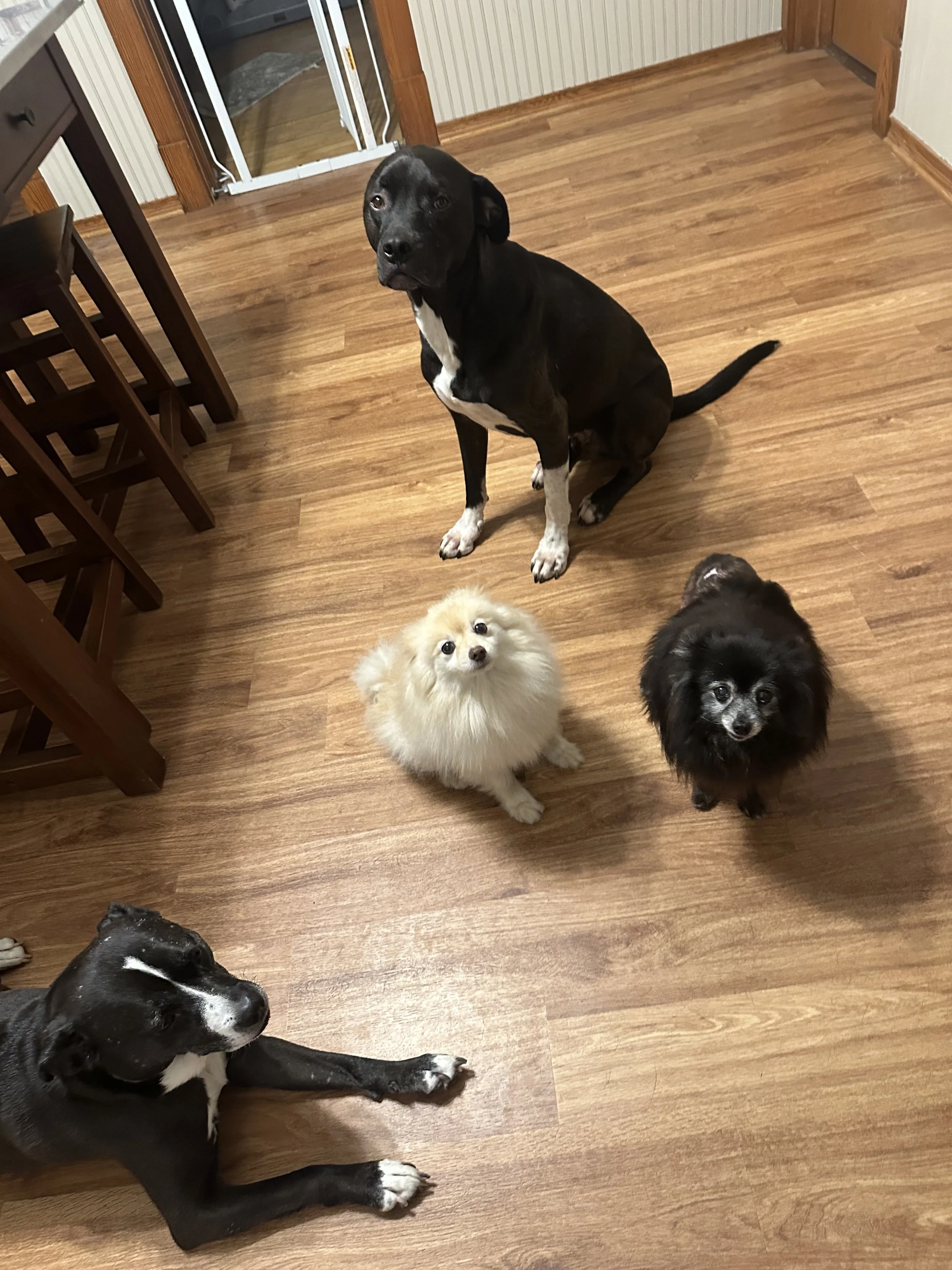 image1.jpeg