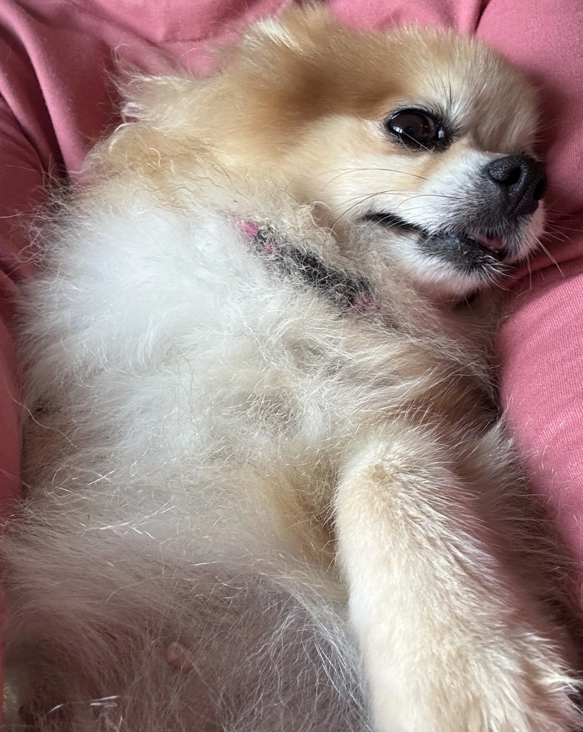 image0.jpeg