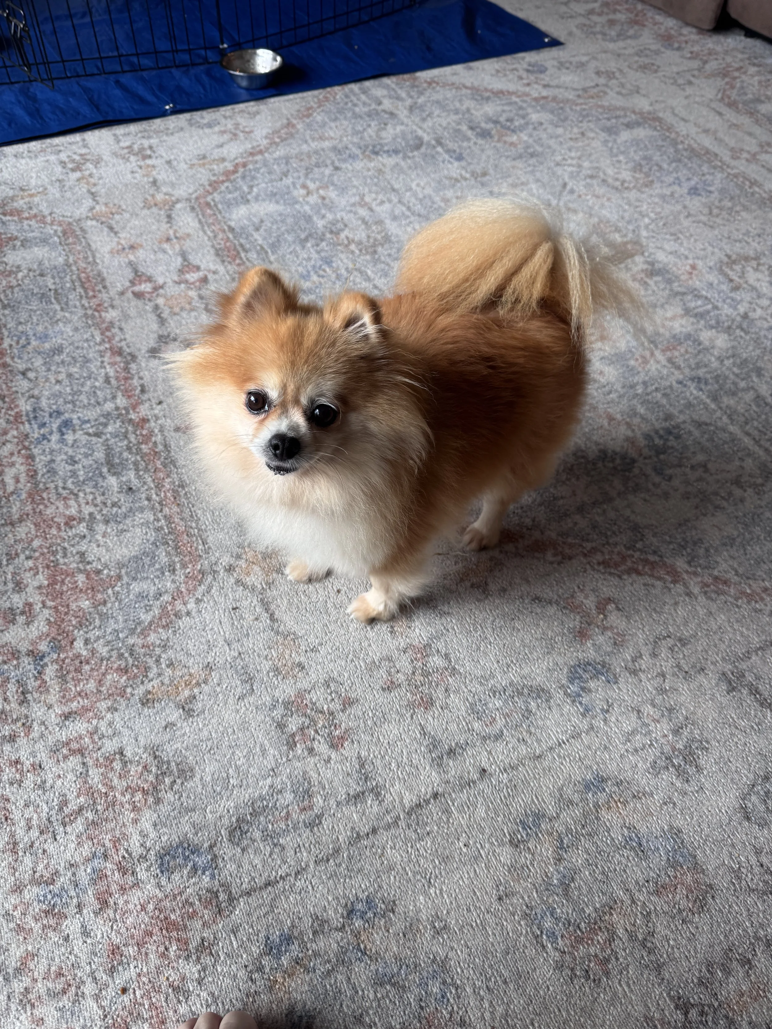 image2.jpeg