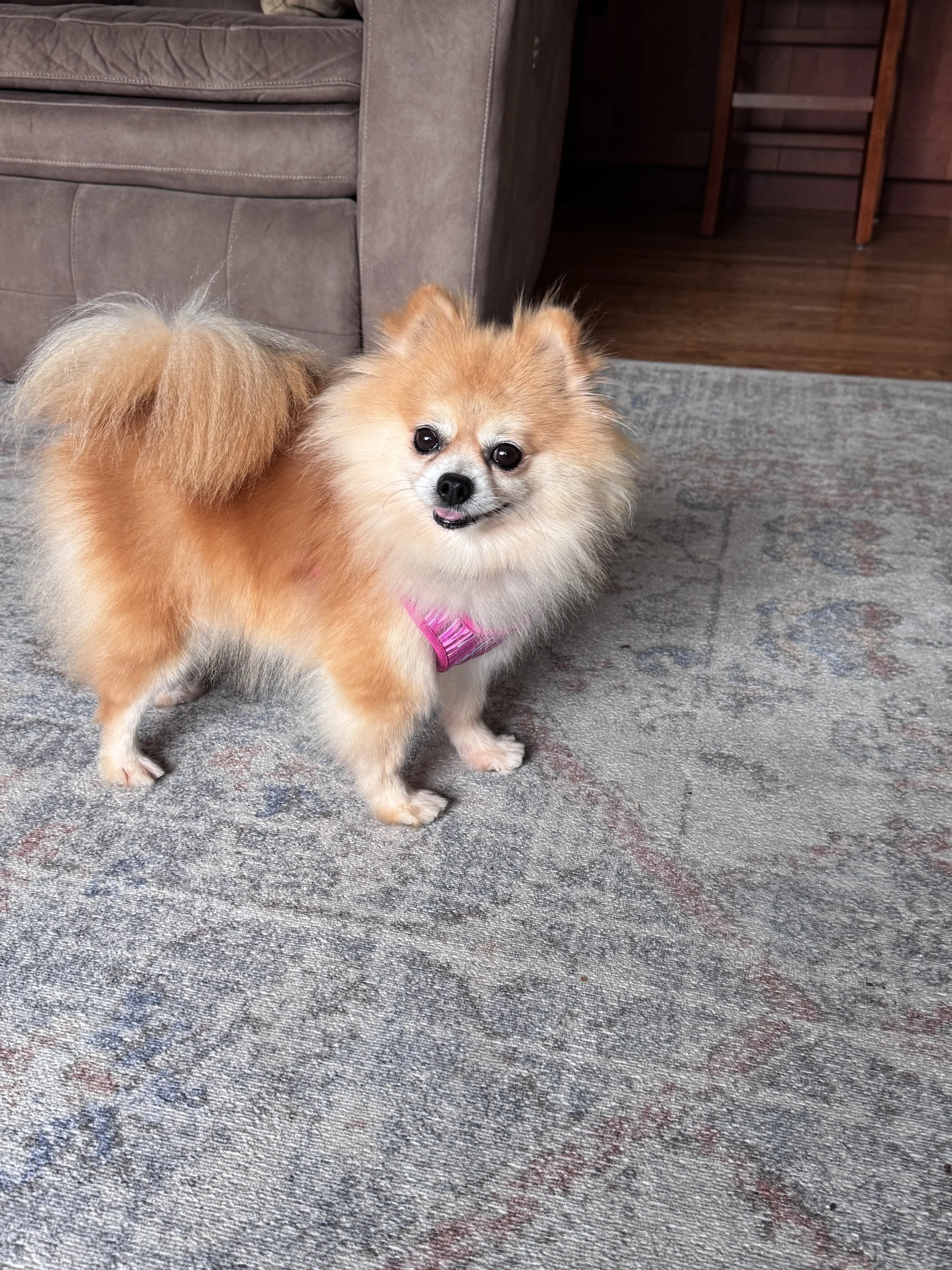 image5.jpeg