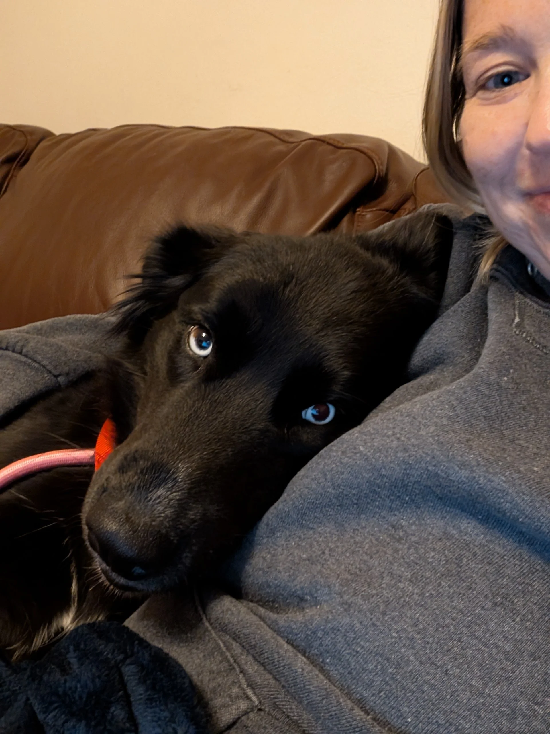 1000003978[47].jpg