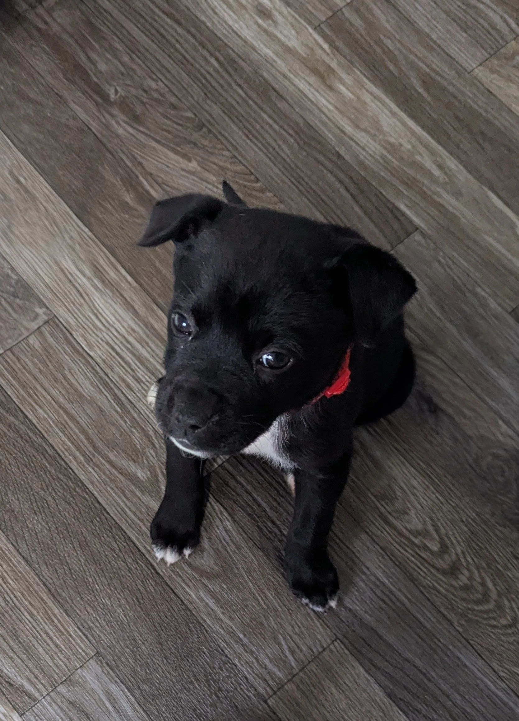 Winnie #3.jpg