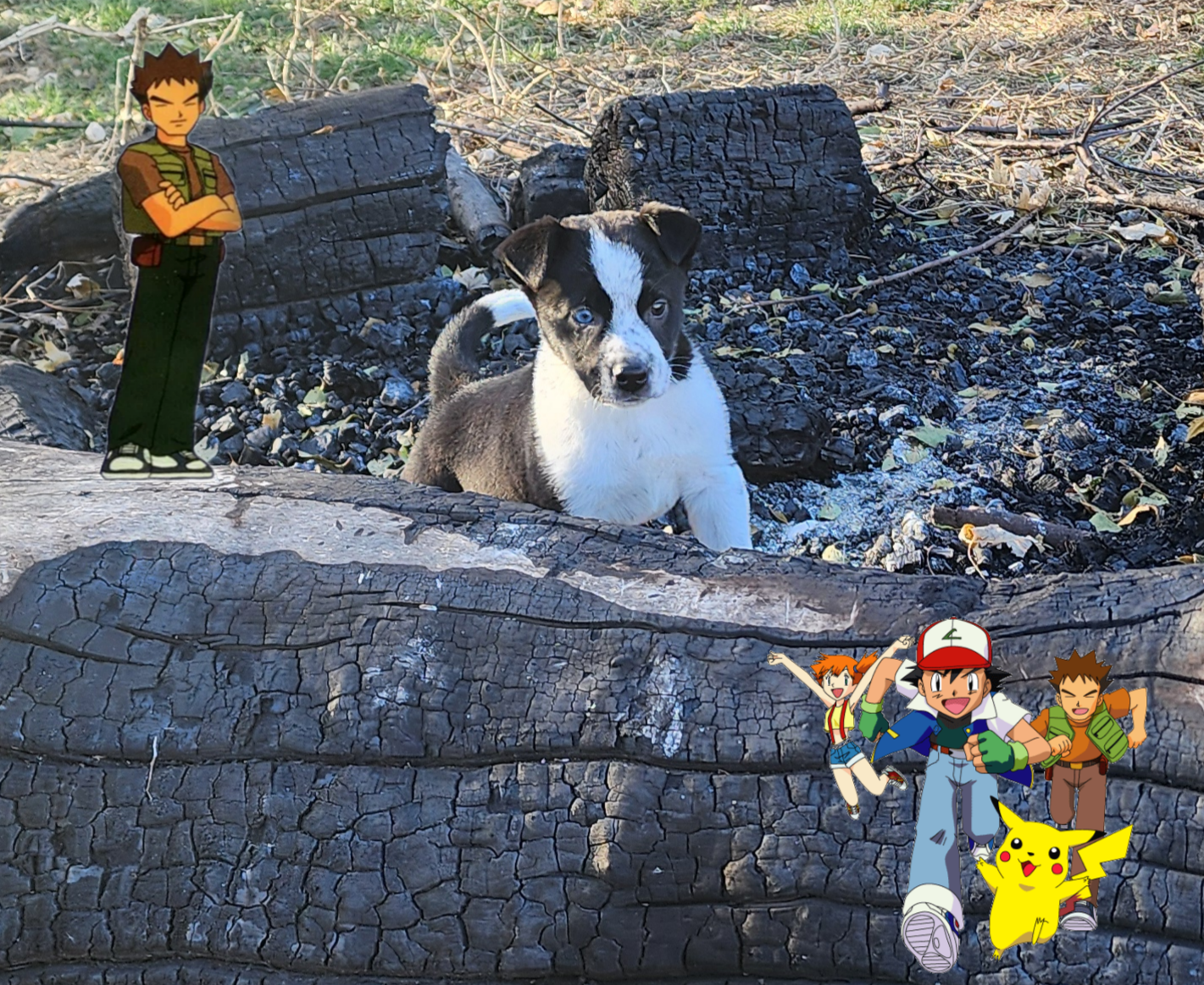 1000015955.png