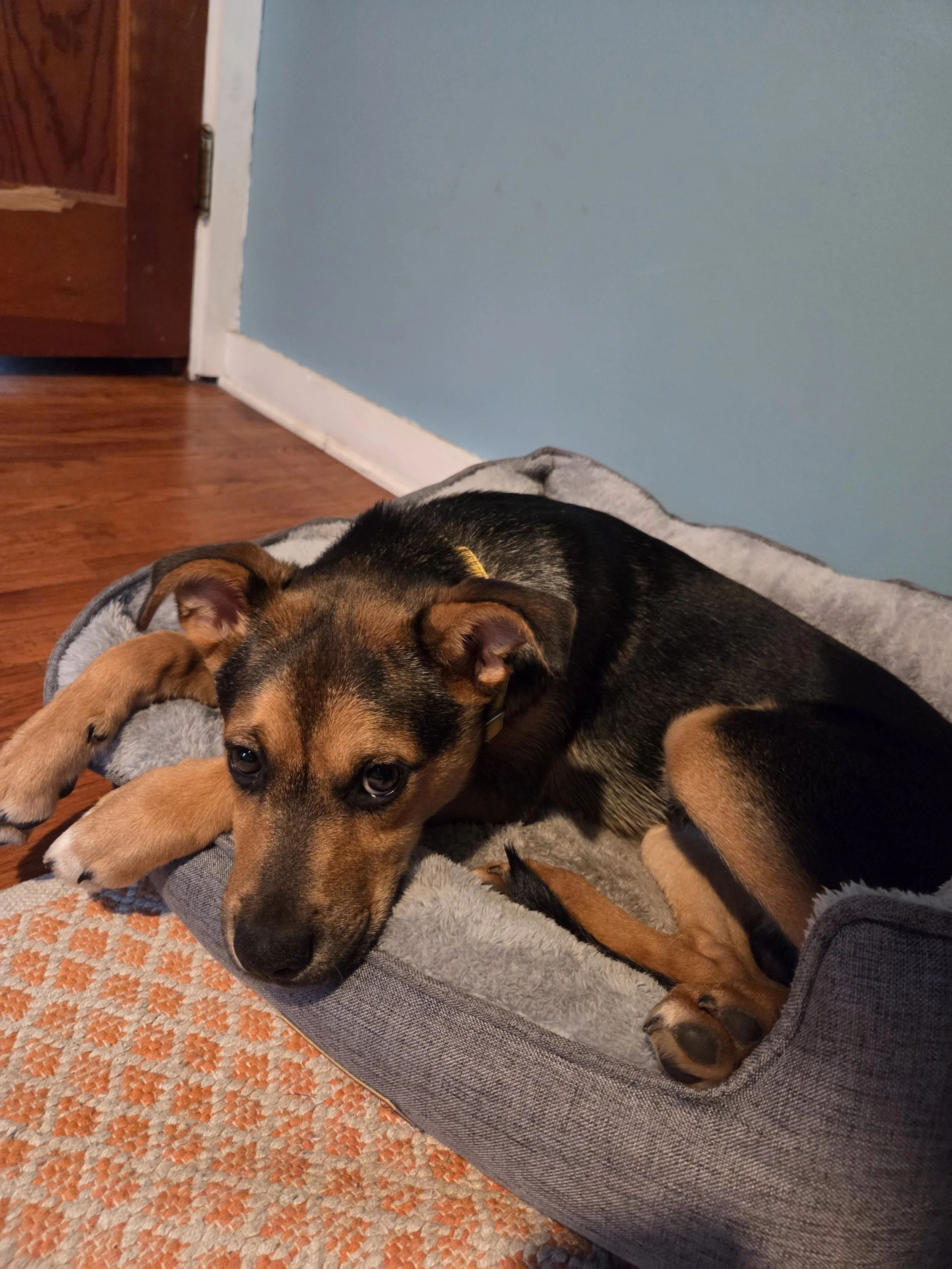 20251120_132538.jpg