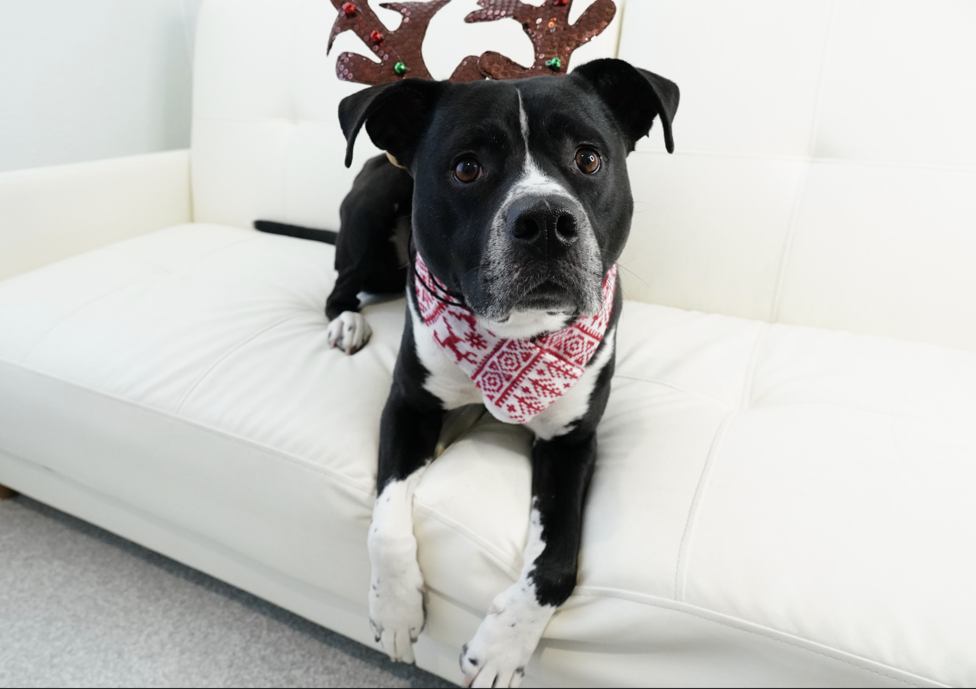 Screen Shot 2025-12-13 at 12.53.12 PM.png