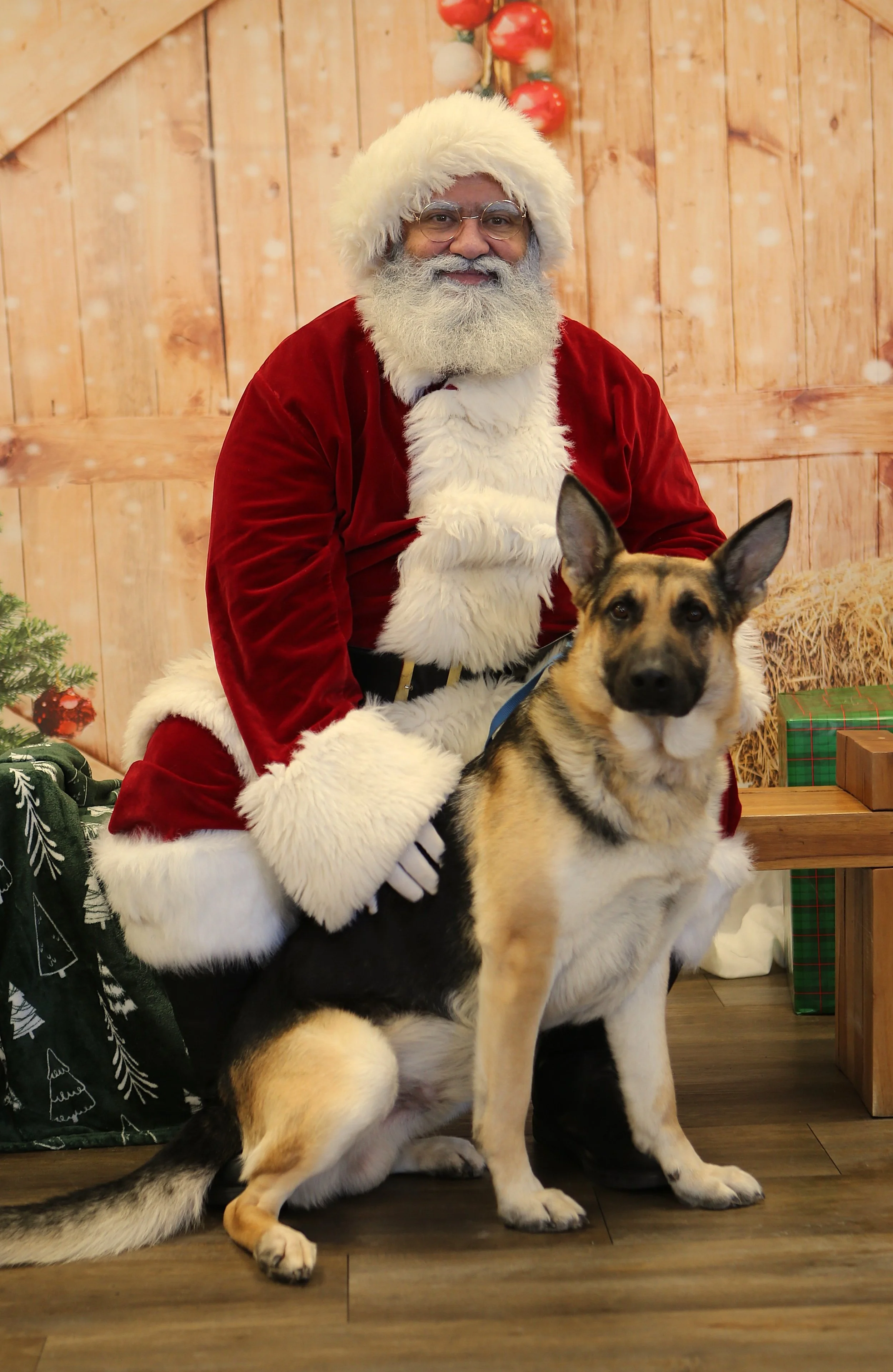 Bixie w Santa.JPG
