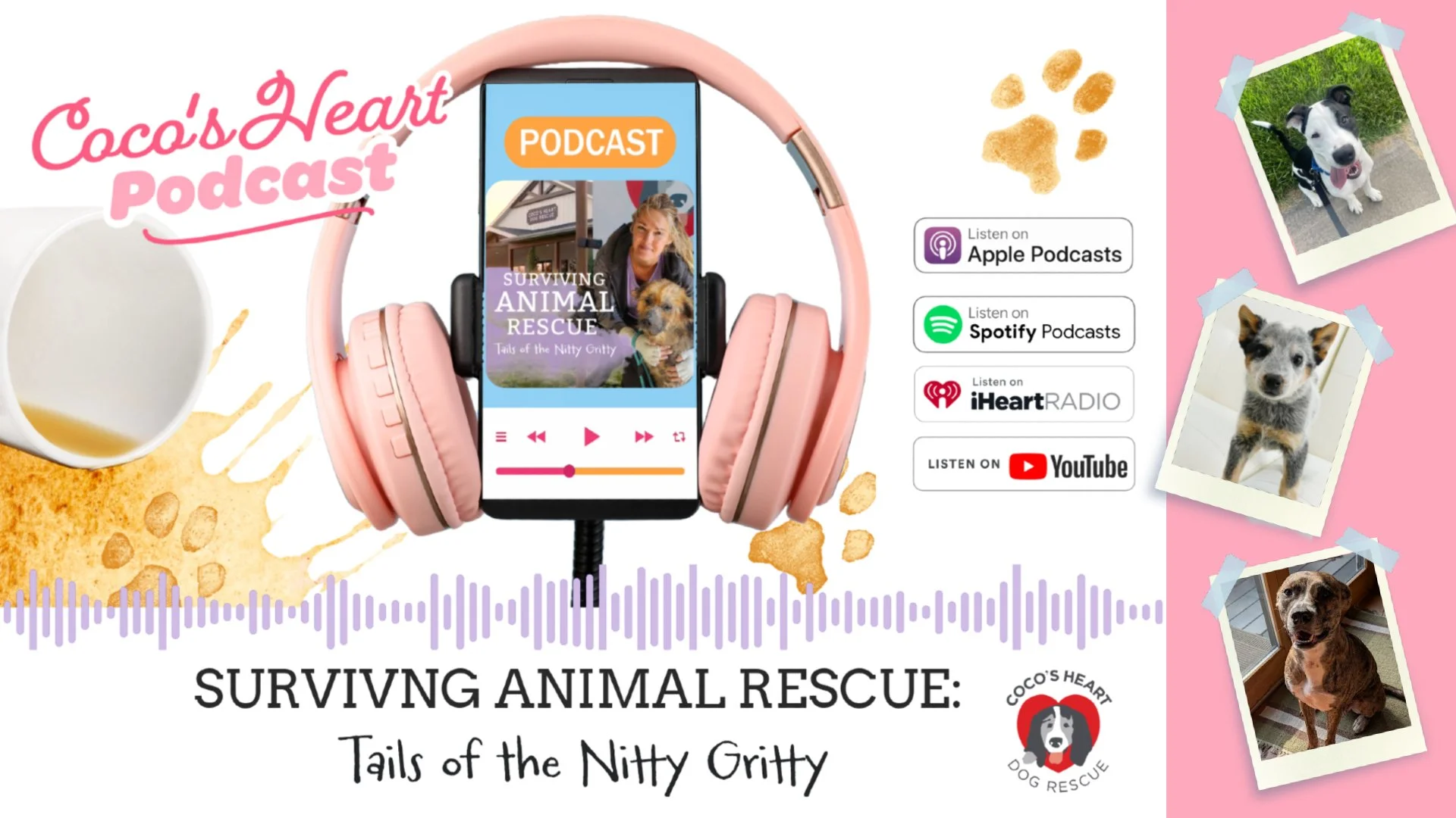 Surviving Animal Rescue_thumbnail.jpg