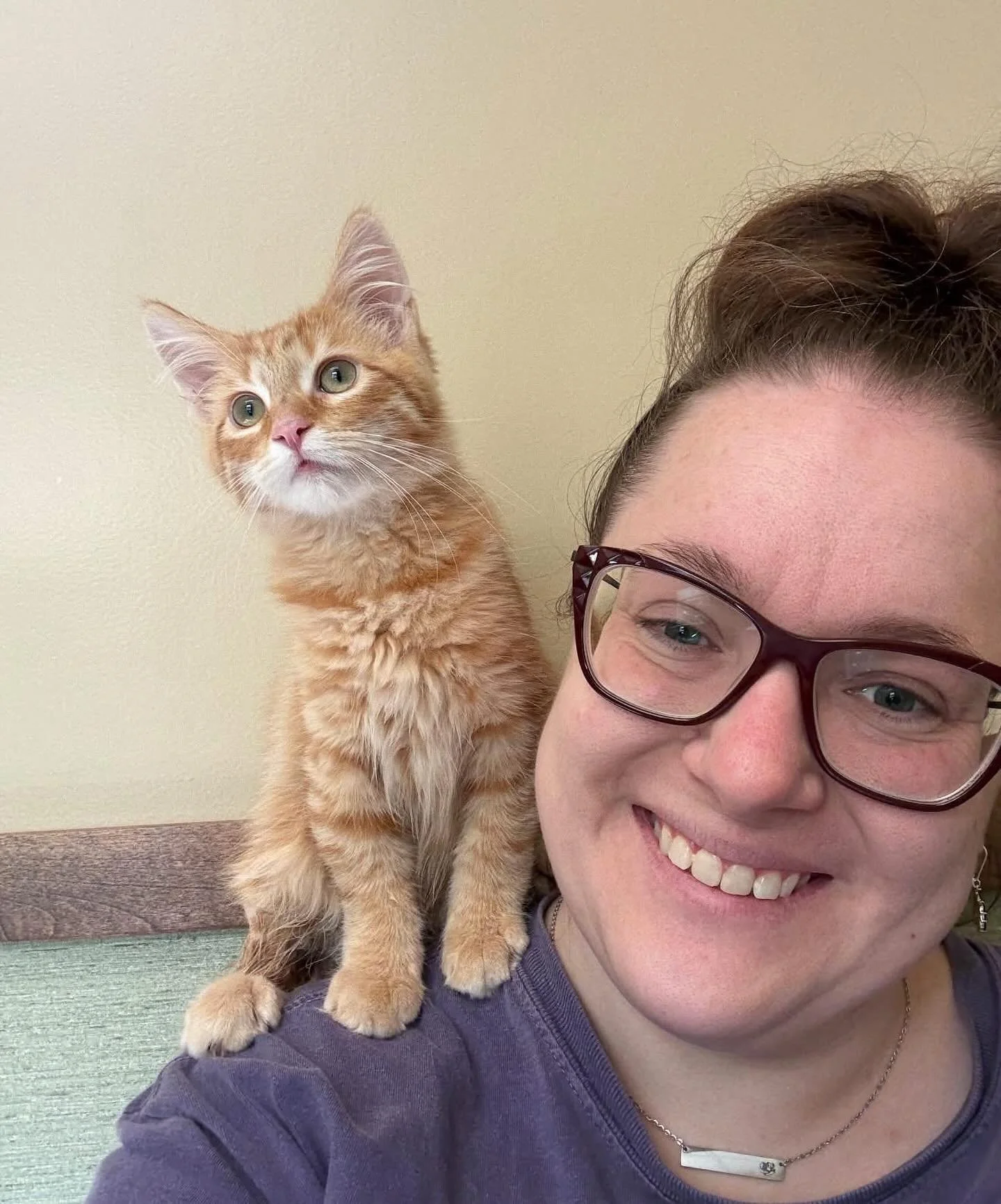 Season 2️⃣ of our Surviving Animal Rescue podcast is full swing! 🎙️🎙️🎙️

This episode is truly the cat&rsquo;s meow as we sit down with our amazing, Kassie. She is a friendly face you may have seen at events, doing photos of our rescue animals, an