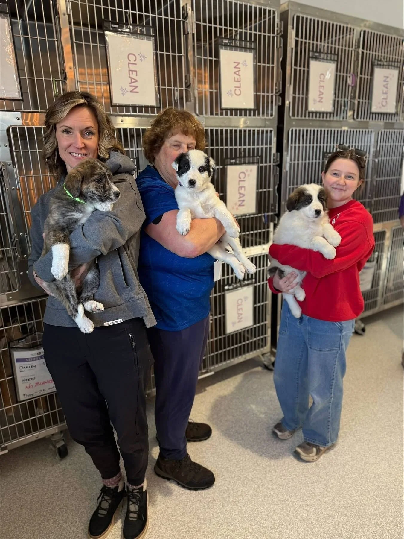 WHAT an amazing busy weekend of intakes!

Huge thanks to all of our amazing volunteers, foster, and staff for working together to help so many ❤️