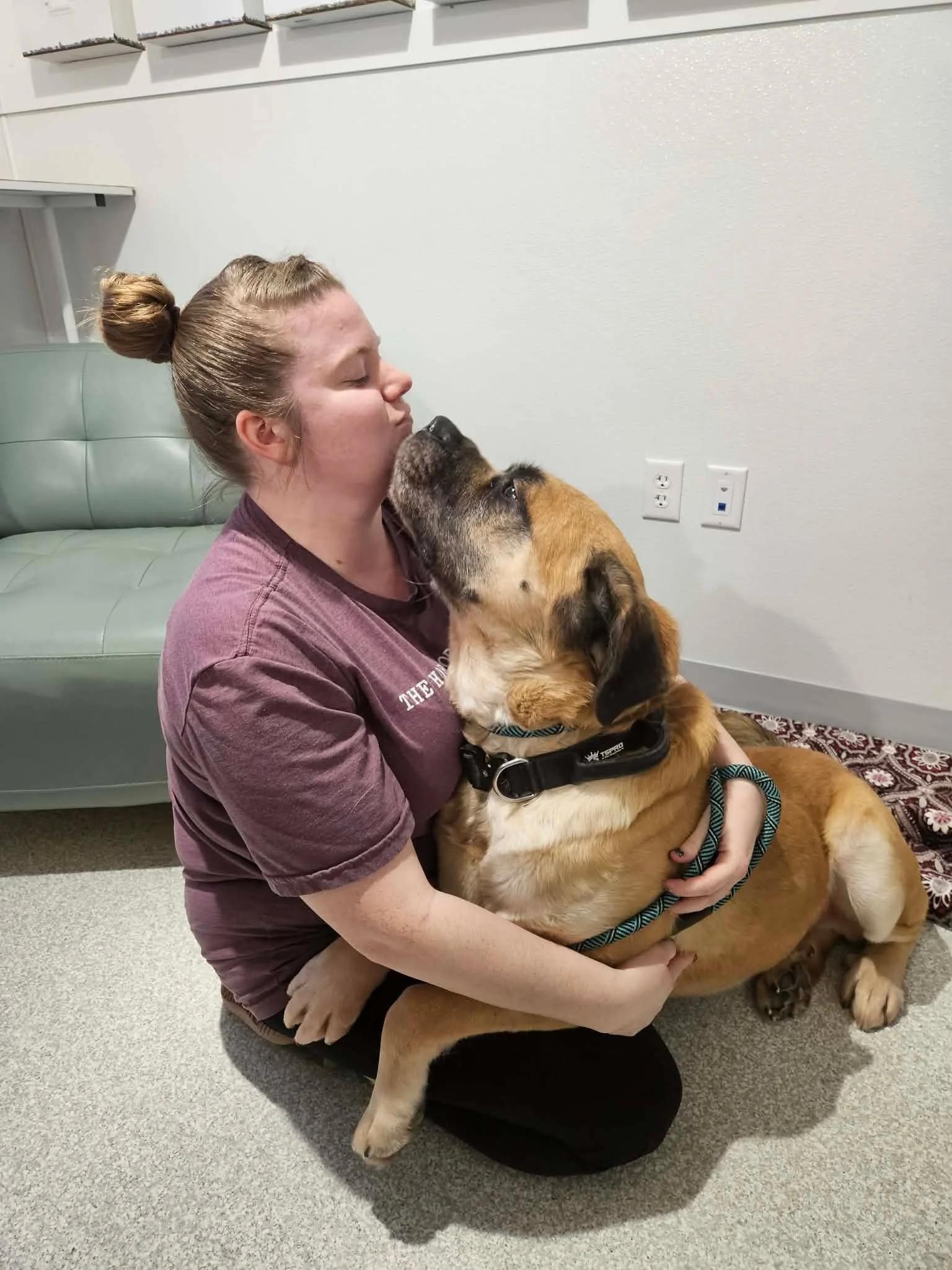 Tiberius here, letting you know that I'm still looking for a foster family OR adopter!
I'm just a big hunk of love. I'll even be a lap dog if you'll let me - I'm like a weighted blanket but better since I also give kisses!

I finished up my board &am